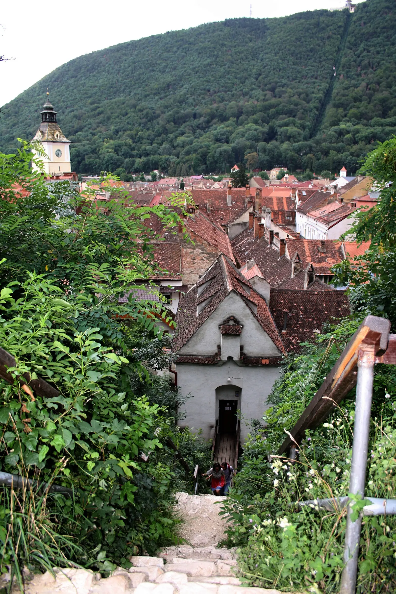 Bastionul Graft 3