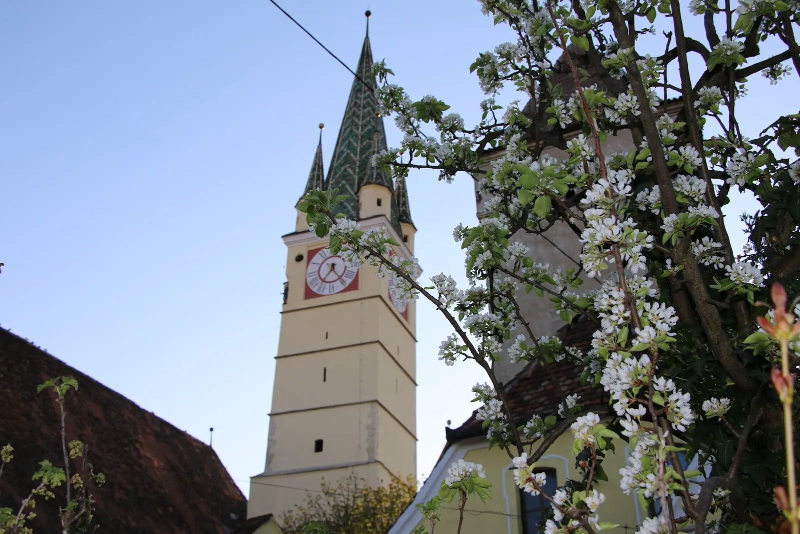 Biserica Evanghelică Sfânta Margareta
