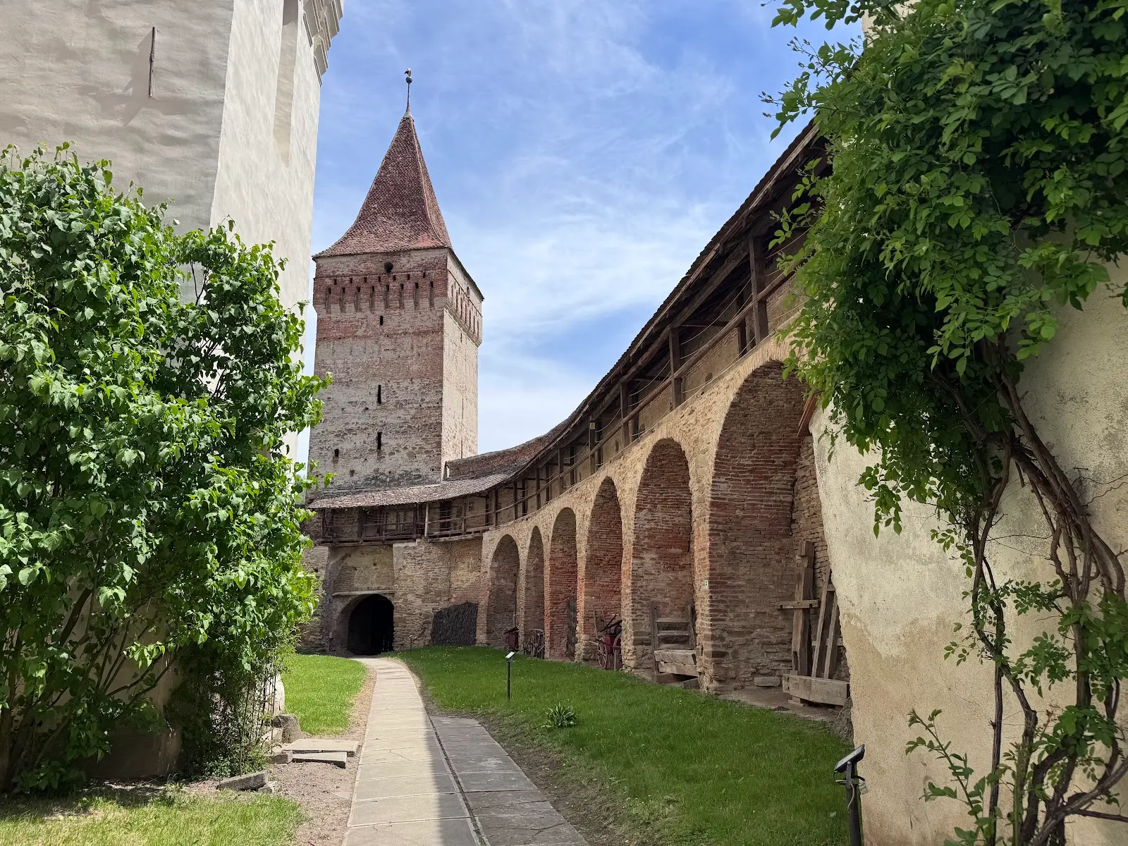 Biserica Fortificată Moșna 3