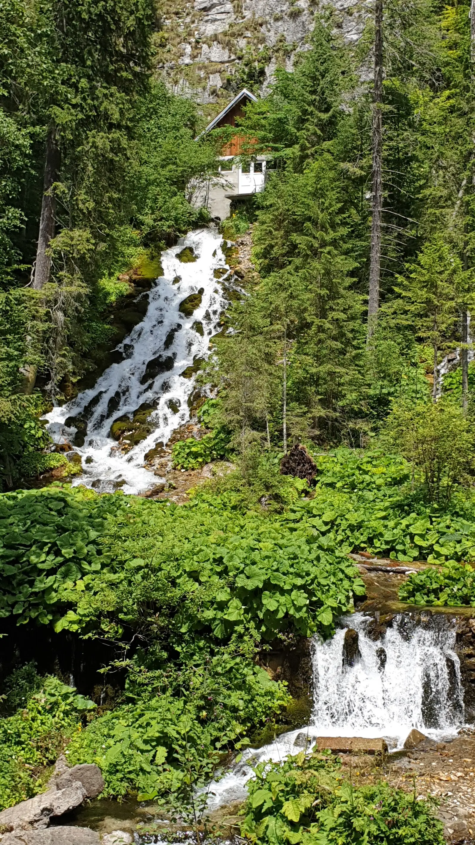 Cascada 7 Izvoare