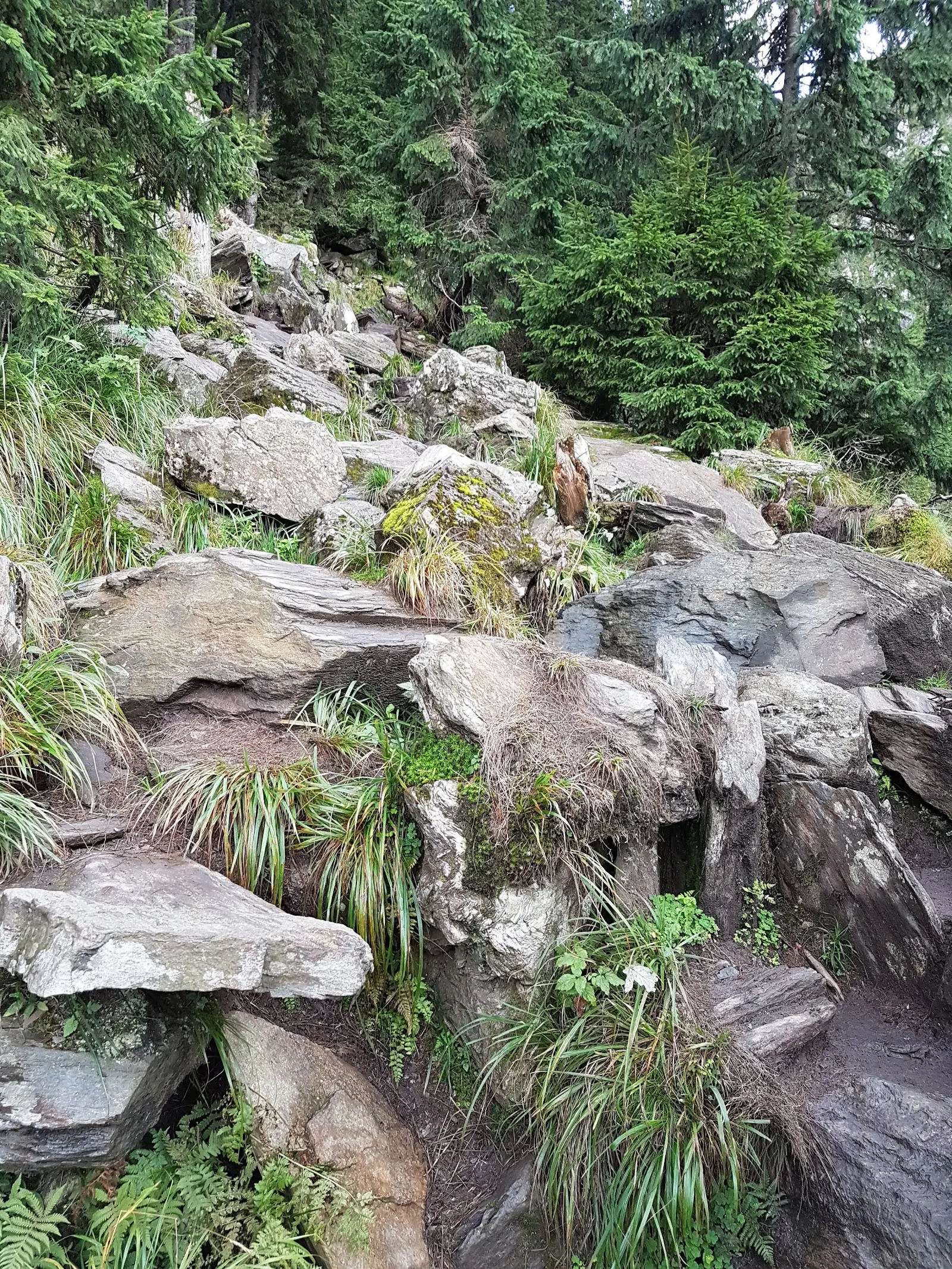 Cascada Bâlea 2