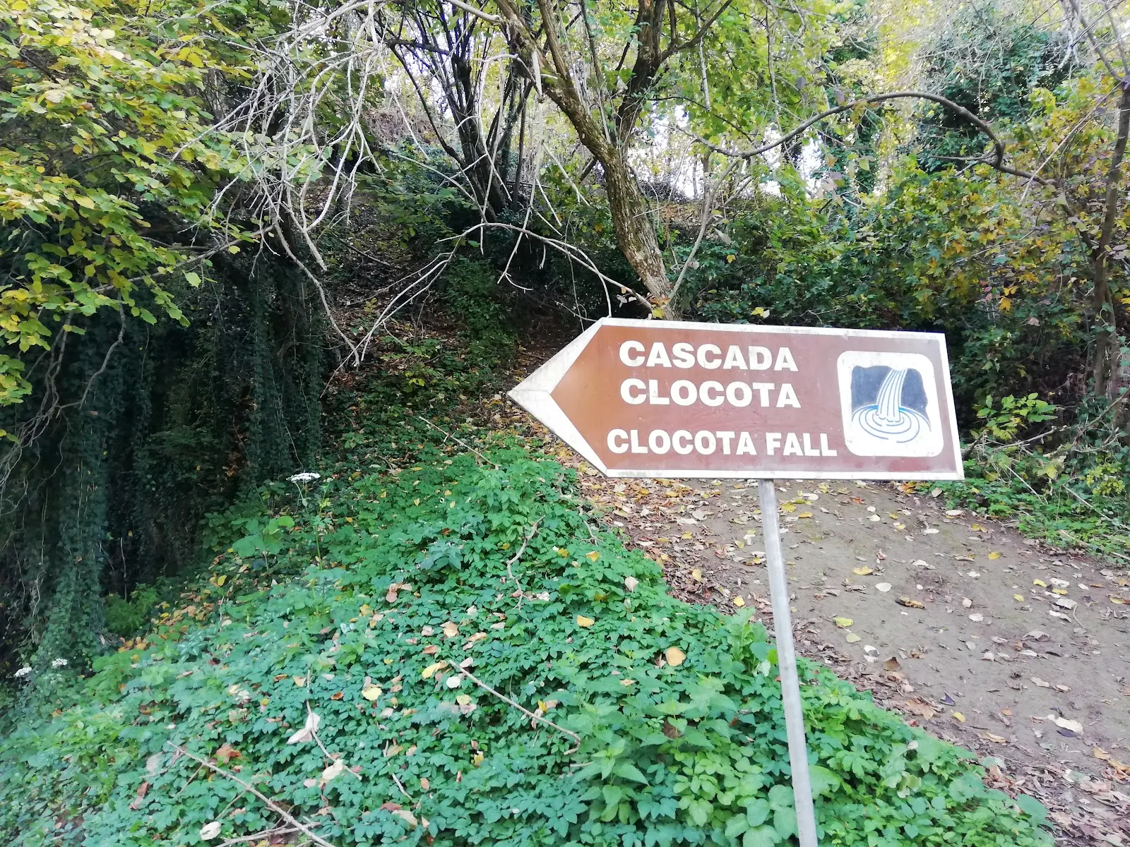Cascada Clocota 3