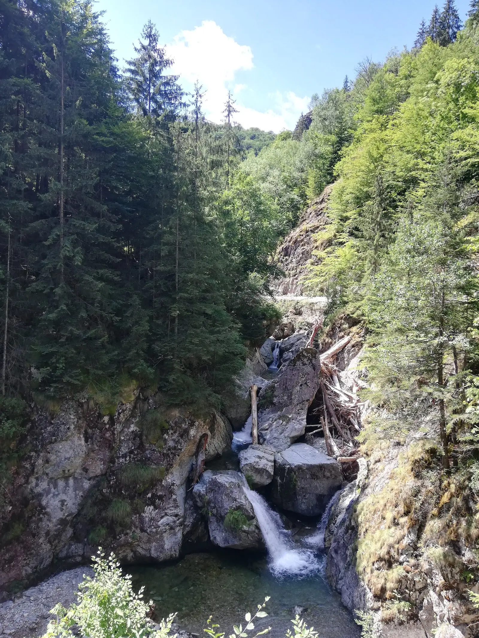 Cascada Iadolina