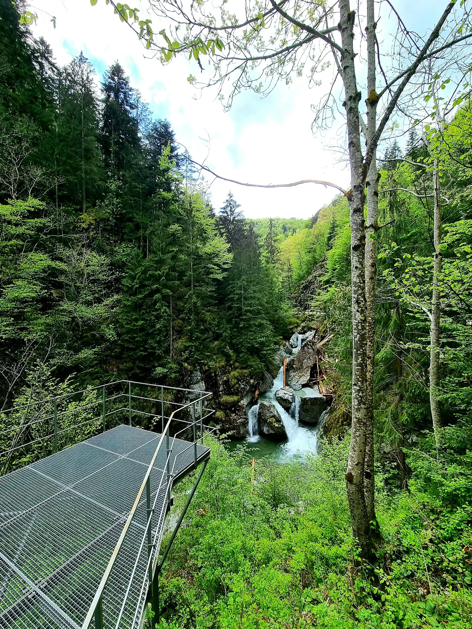 Cascada Iadolina 3