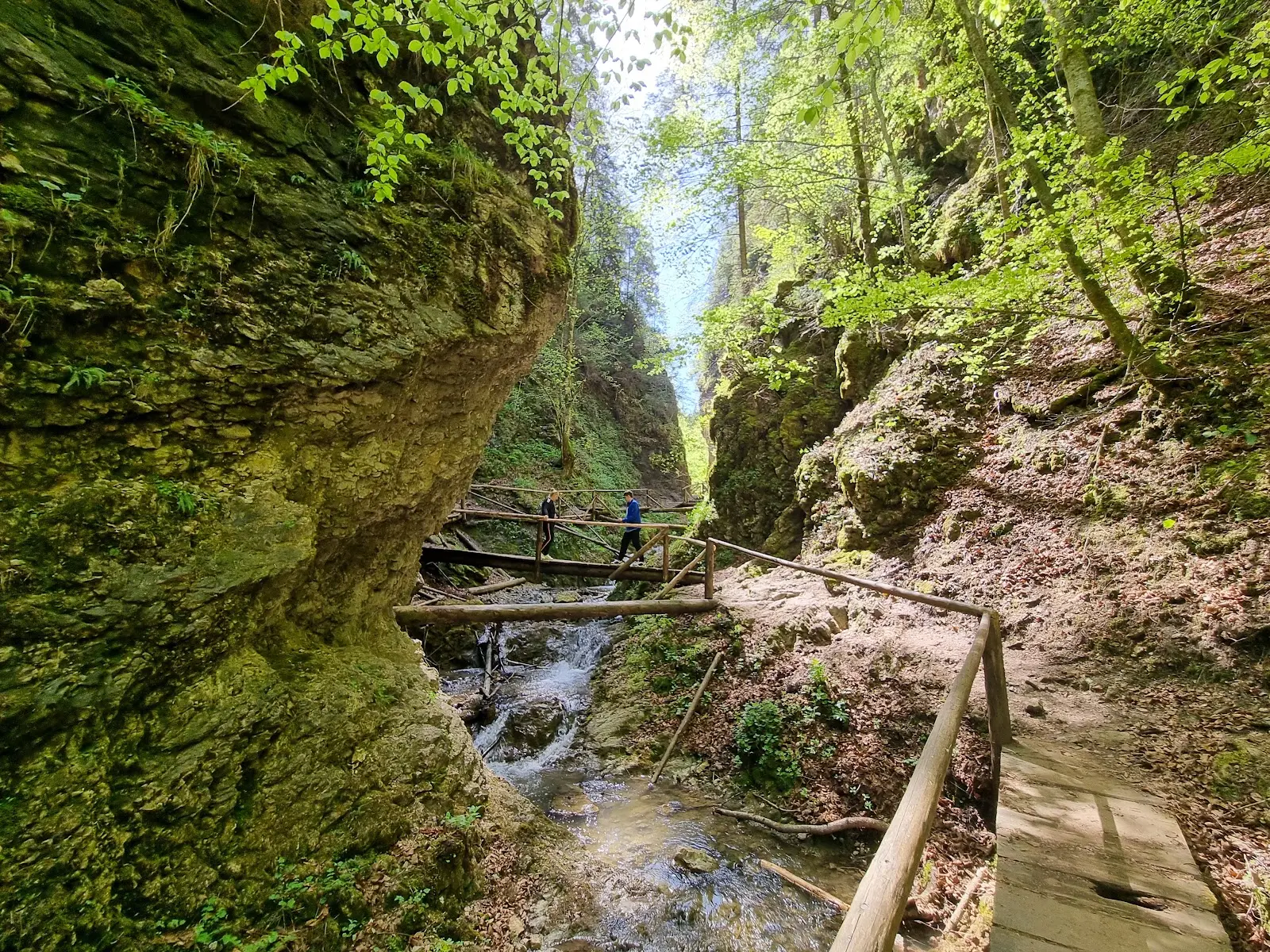 Cascada Moara Dracului (Rarău)