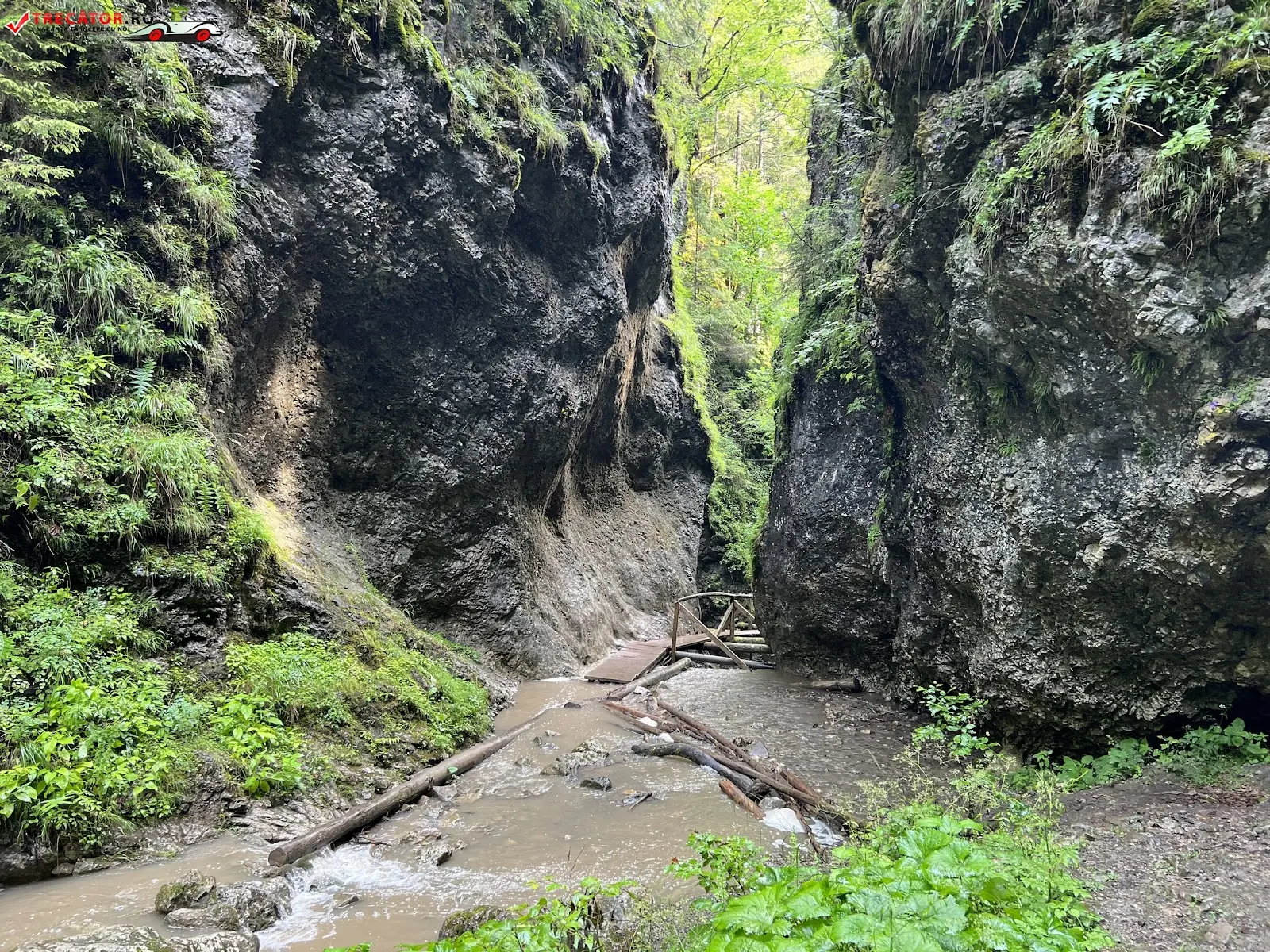 Cascada Moara Dracului (Rarău) 2