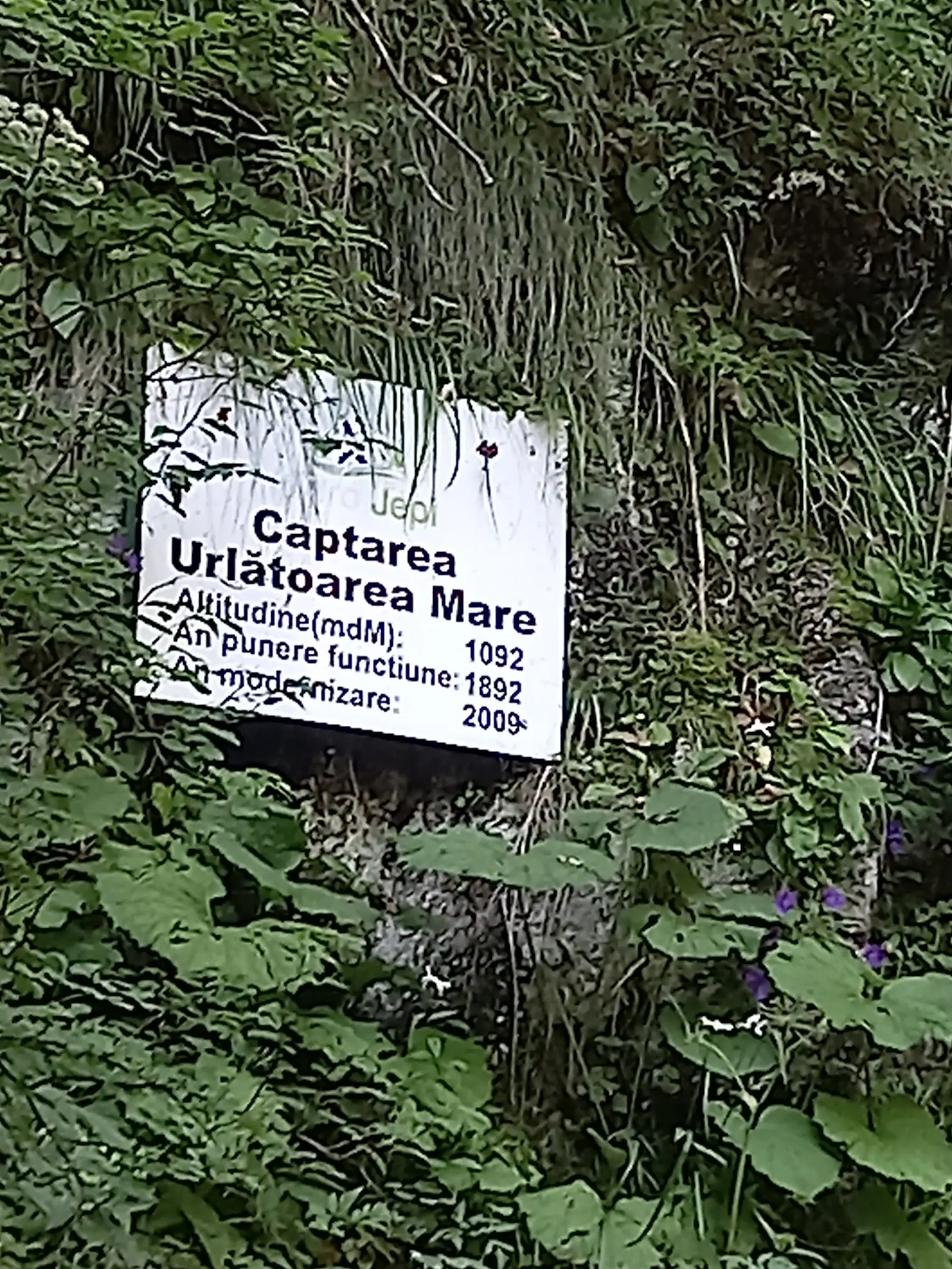 Cascada Urlătoarea 2