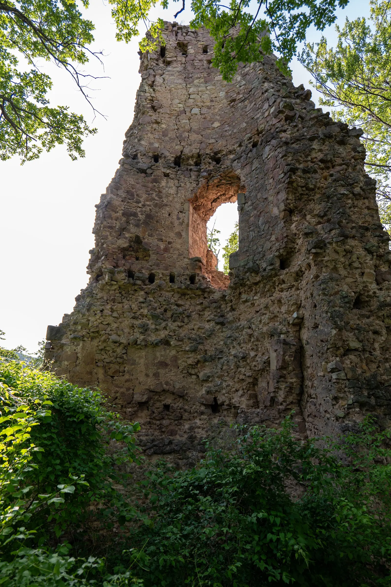 Cetatea Finiș