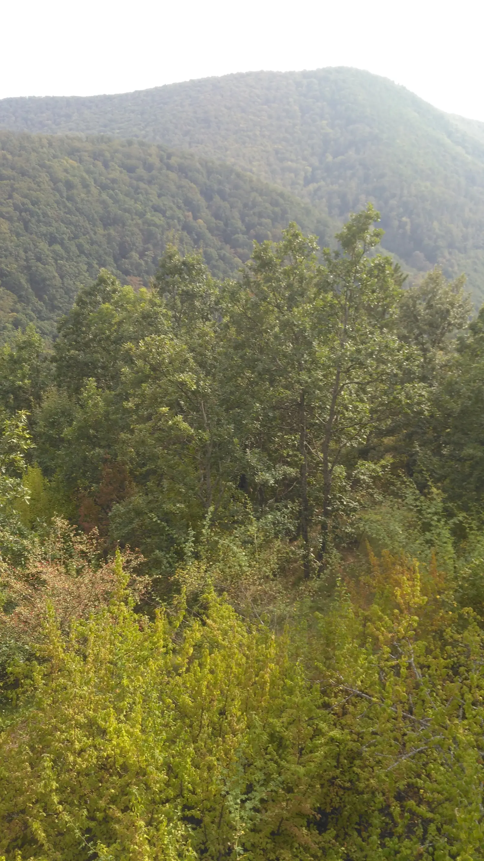 Cetatea Finiș 2