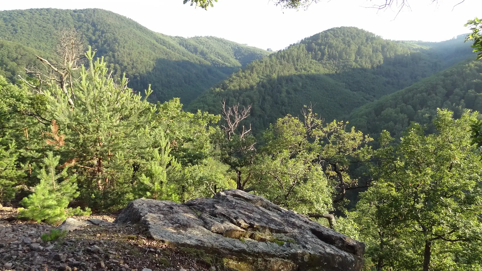 Cetatea Finiș 3
