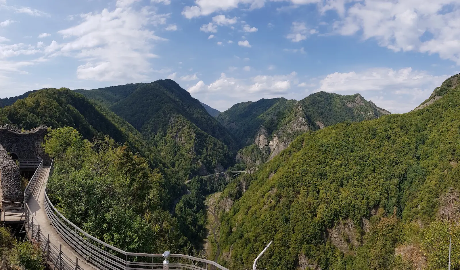 Cetatea Poenari 2