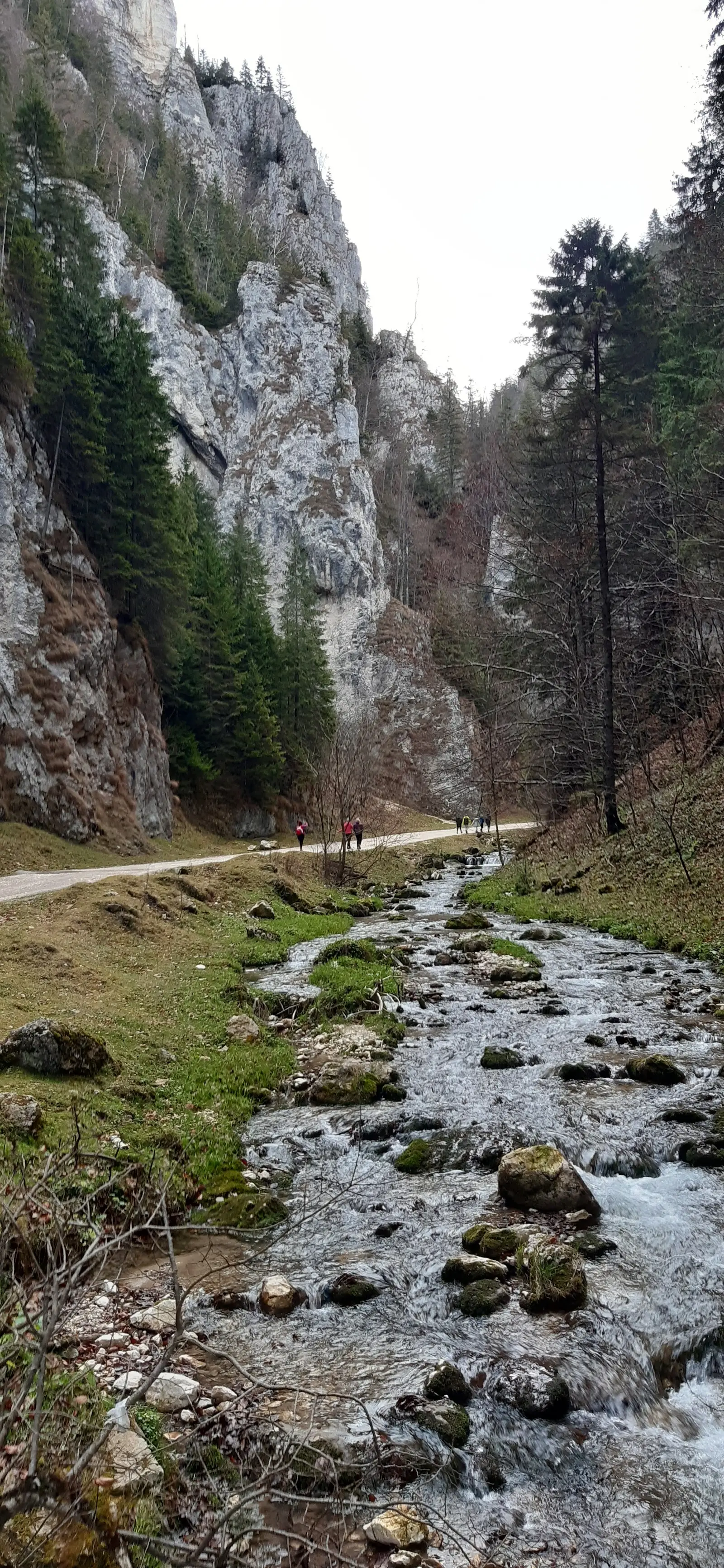 Cheile Dâmbovicioarei 2