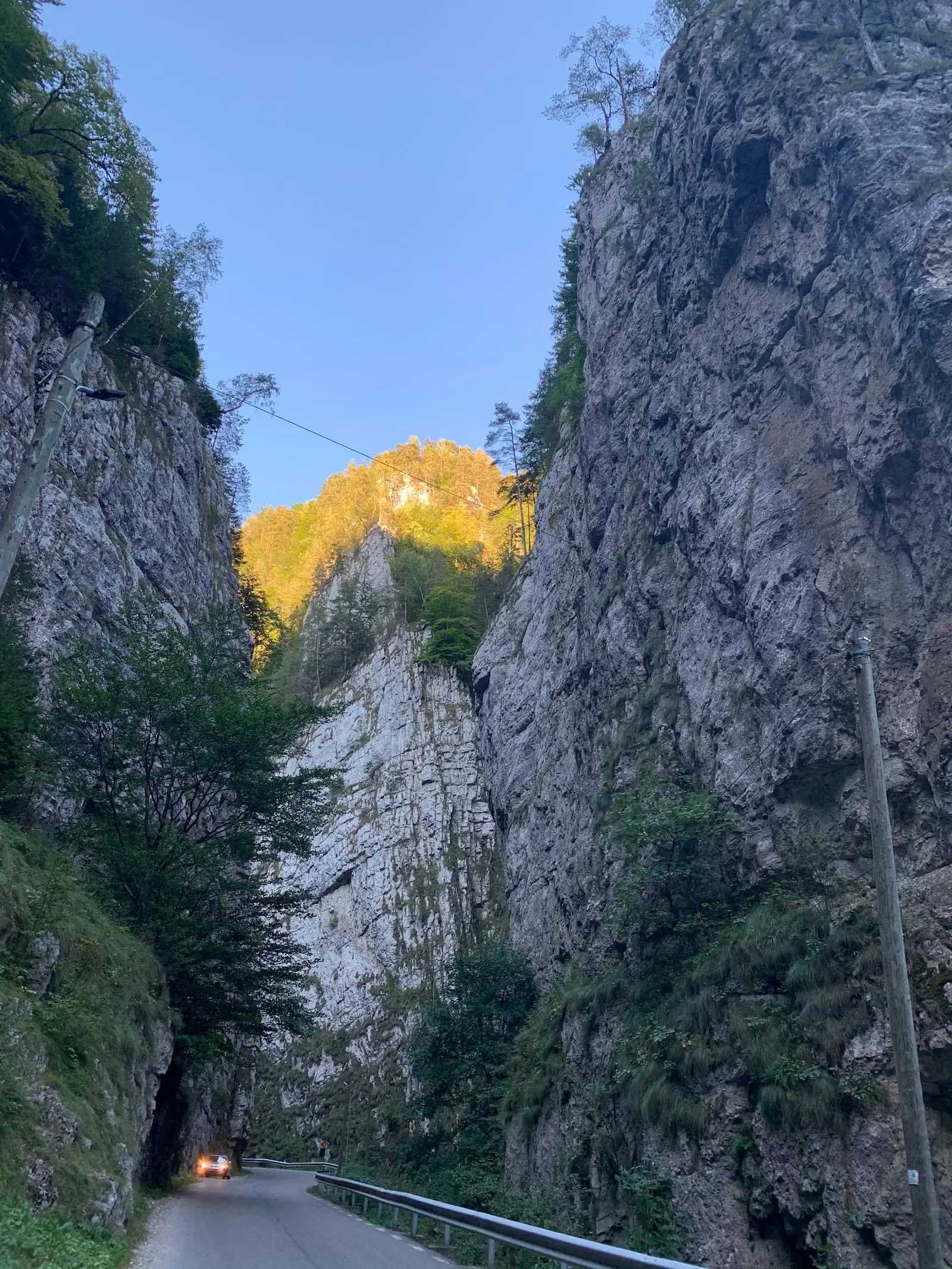 Cheile Dâmbovicioarei 3