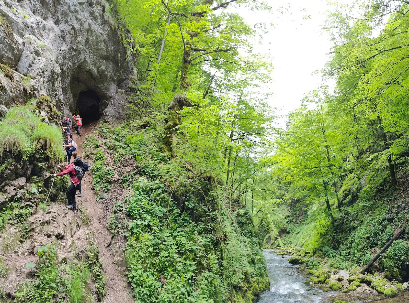 Cheile Galbenei 3