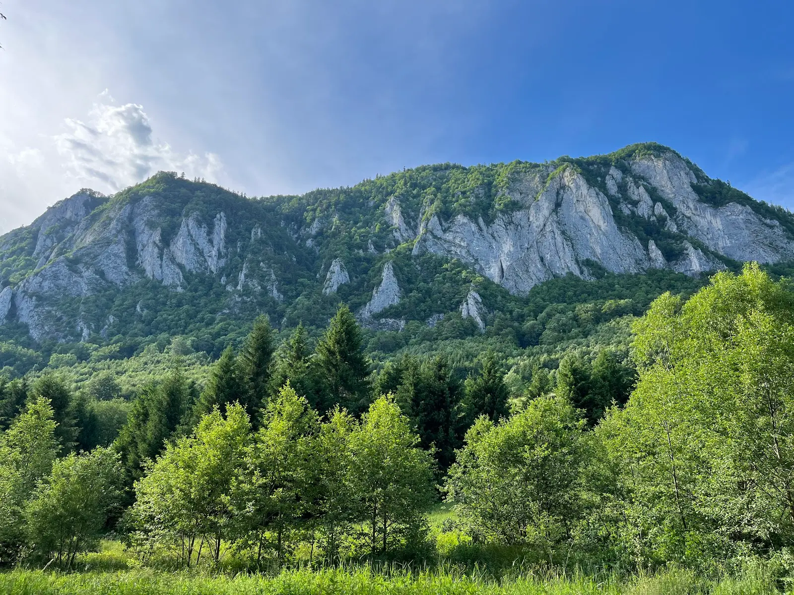 Cheile Râșnoavei 3