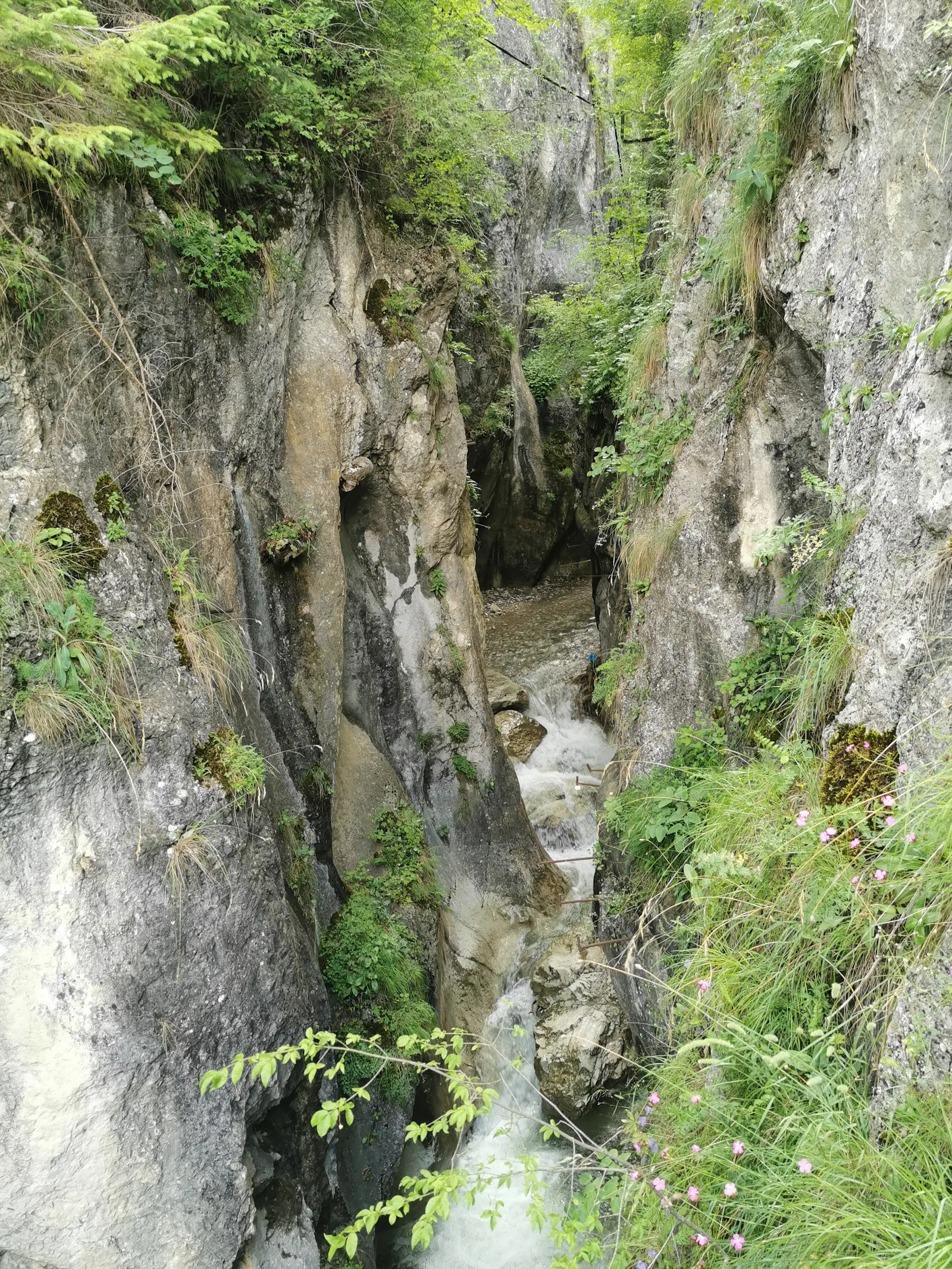 Cheile Sugăului