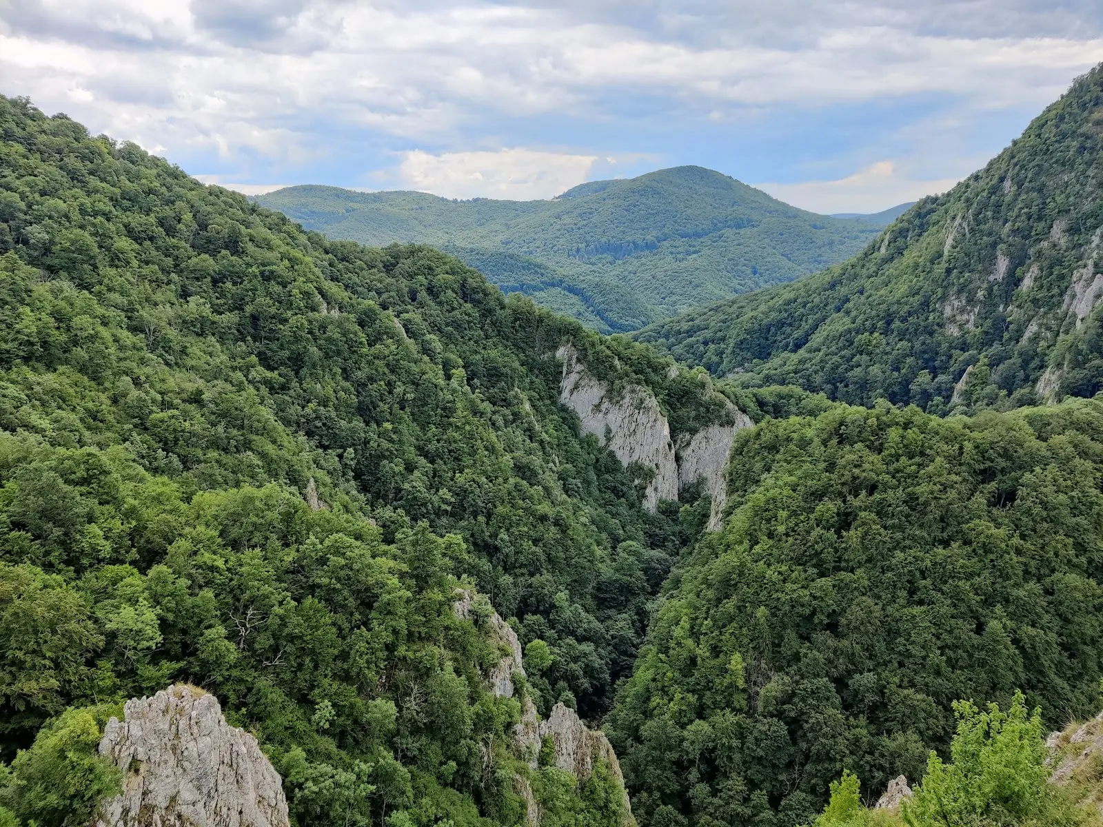 Cheile Vârghișului 3