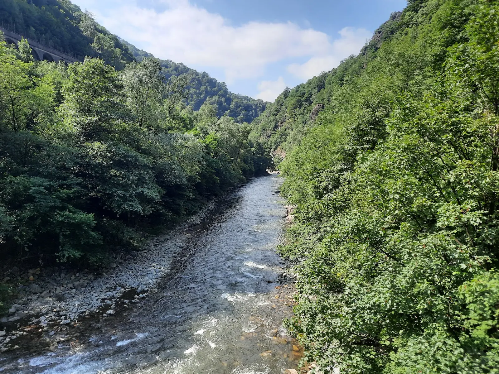 Defileul Jiului