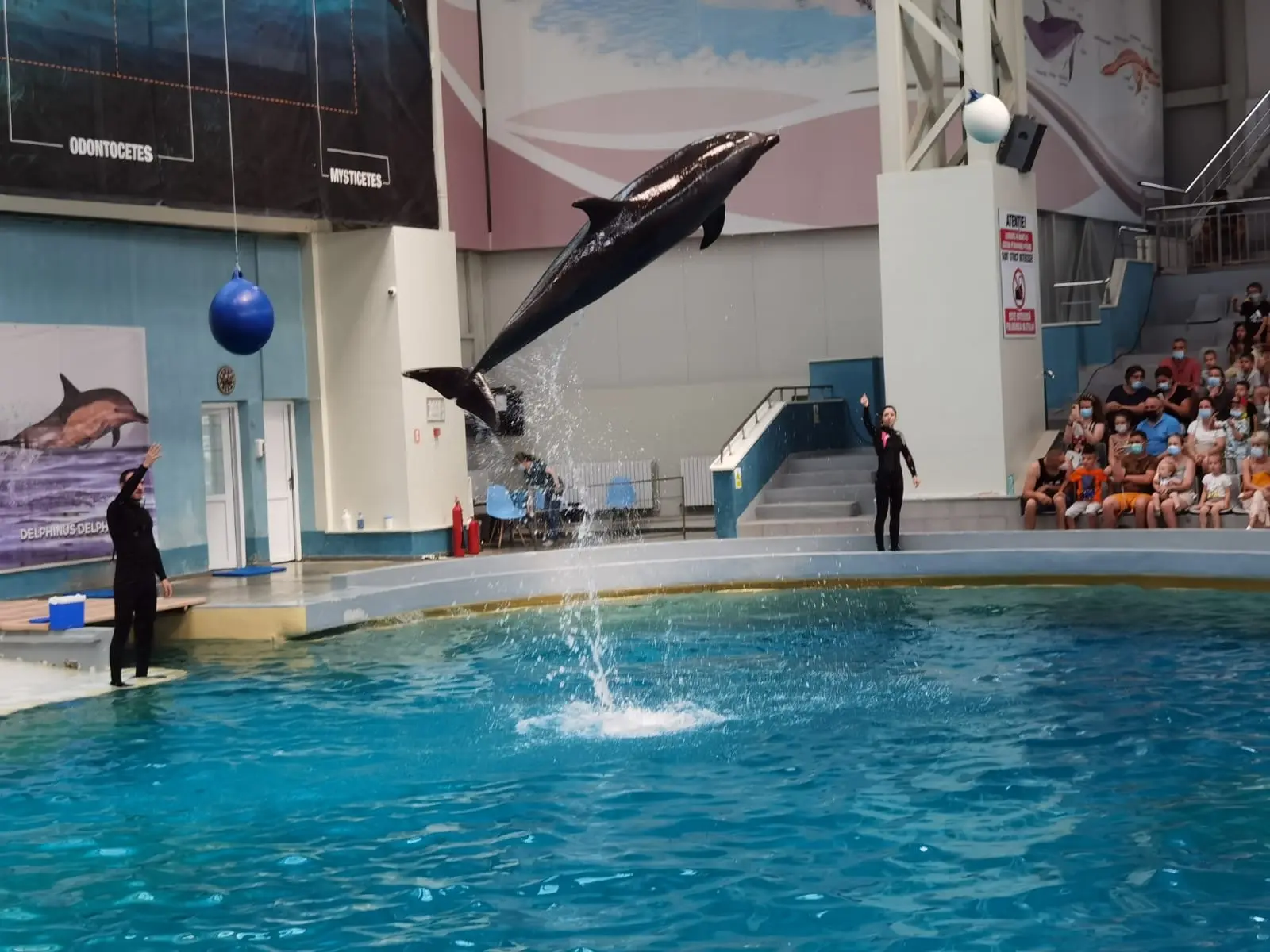 Delfinariul Constanța 3