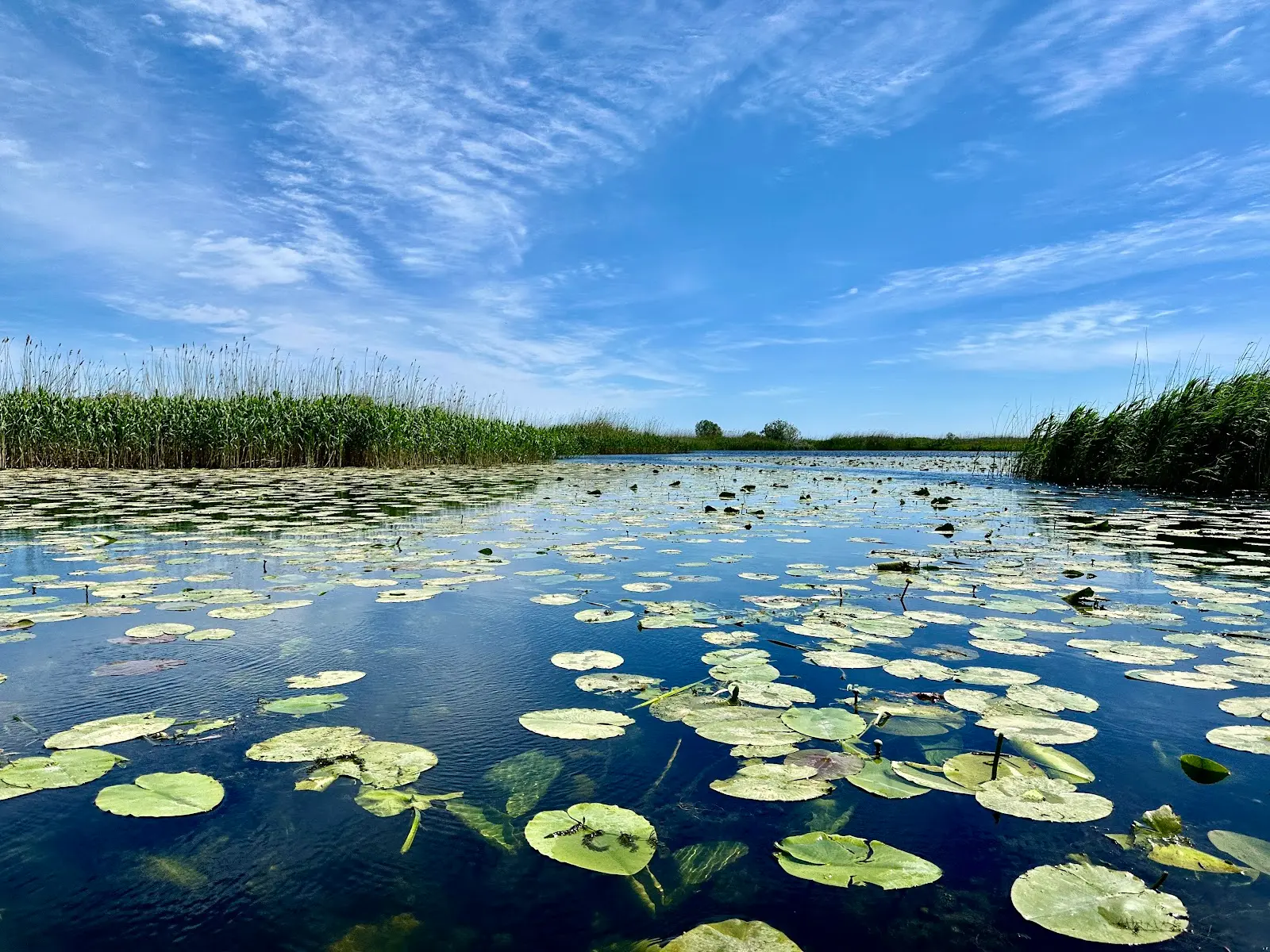 Danube Delta