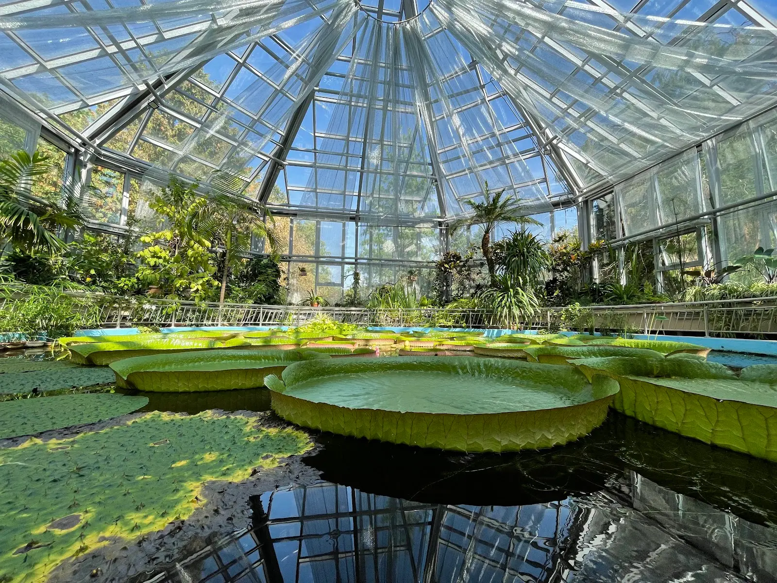 Grădina Botanică Alexandru Borza
