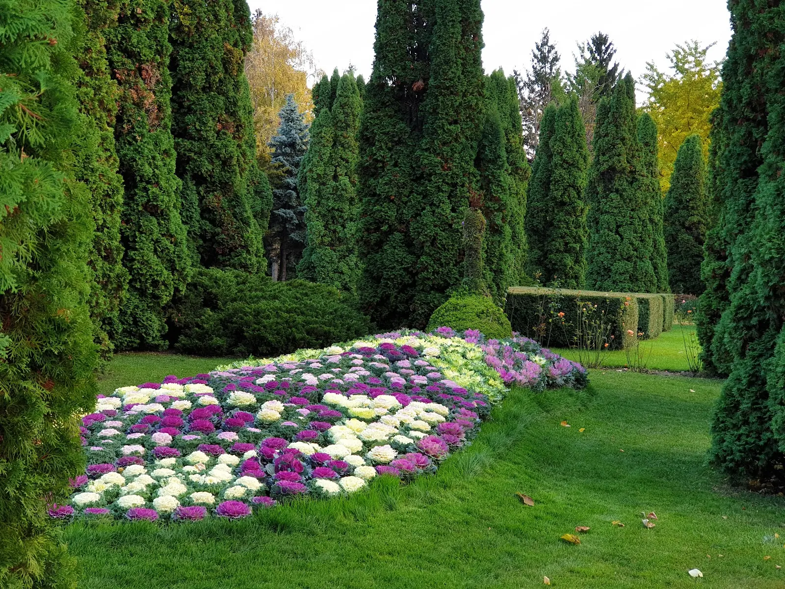 Grădina Botanică Anastasie Fătu Iași 3