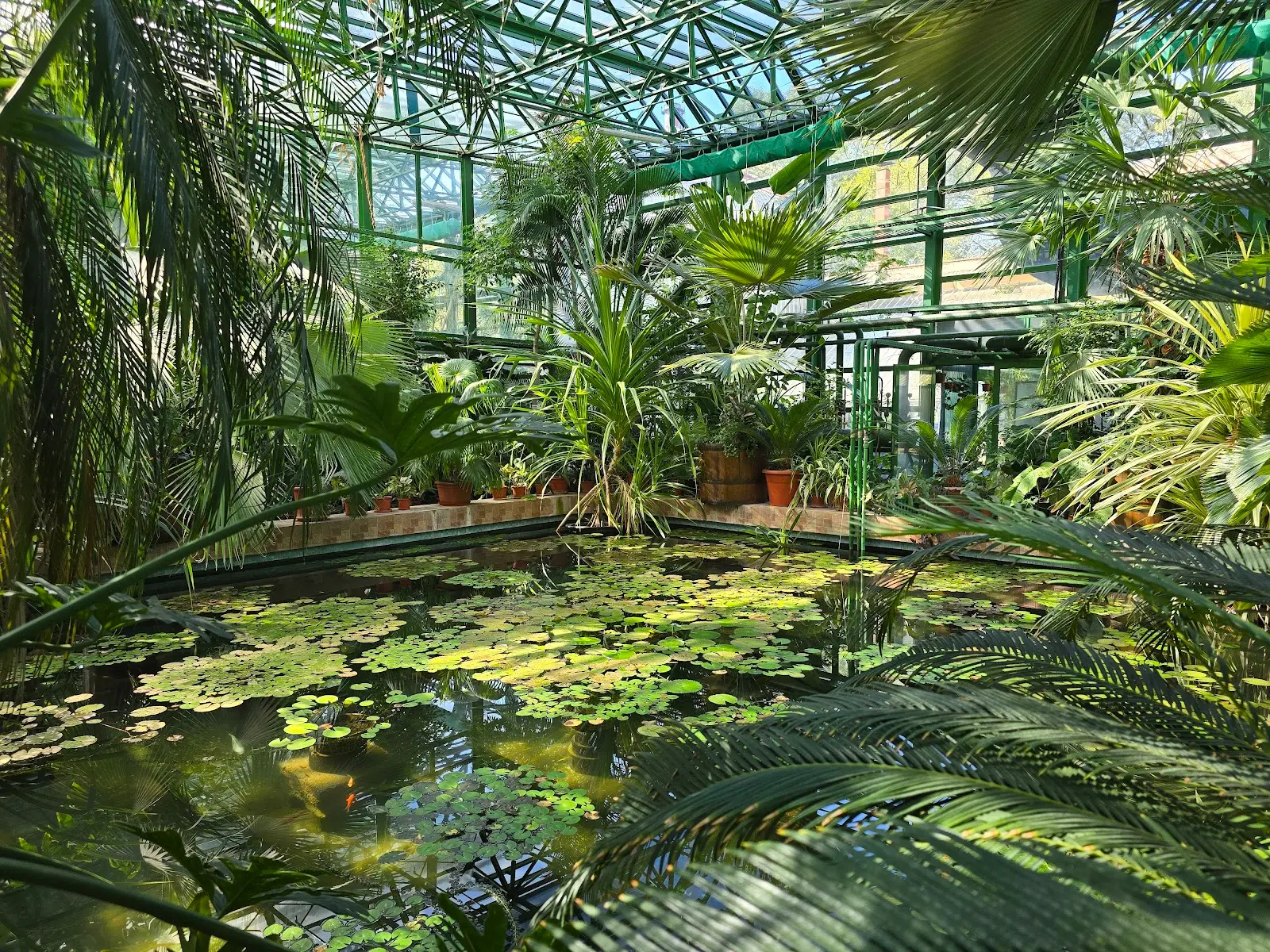 Grădina Botanică Dimitrie Brândză 2
