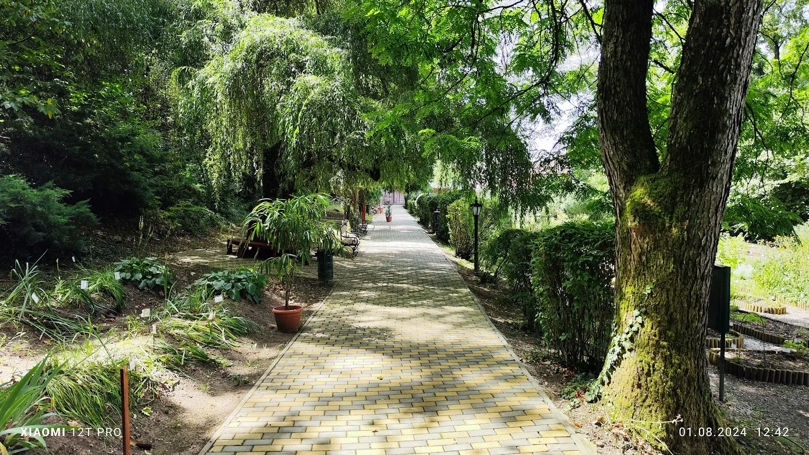 Grădina Botanică Târgu Mureș 2