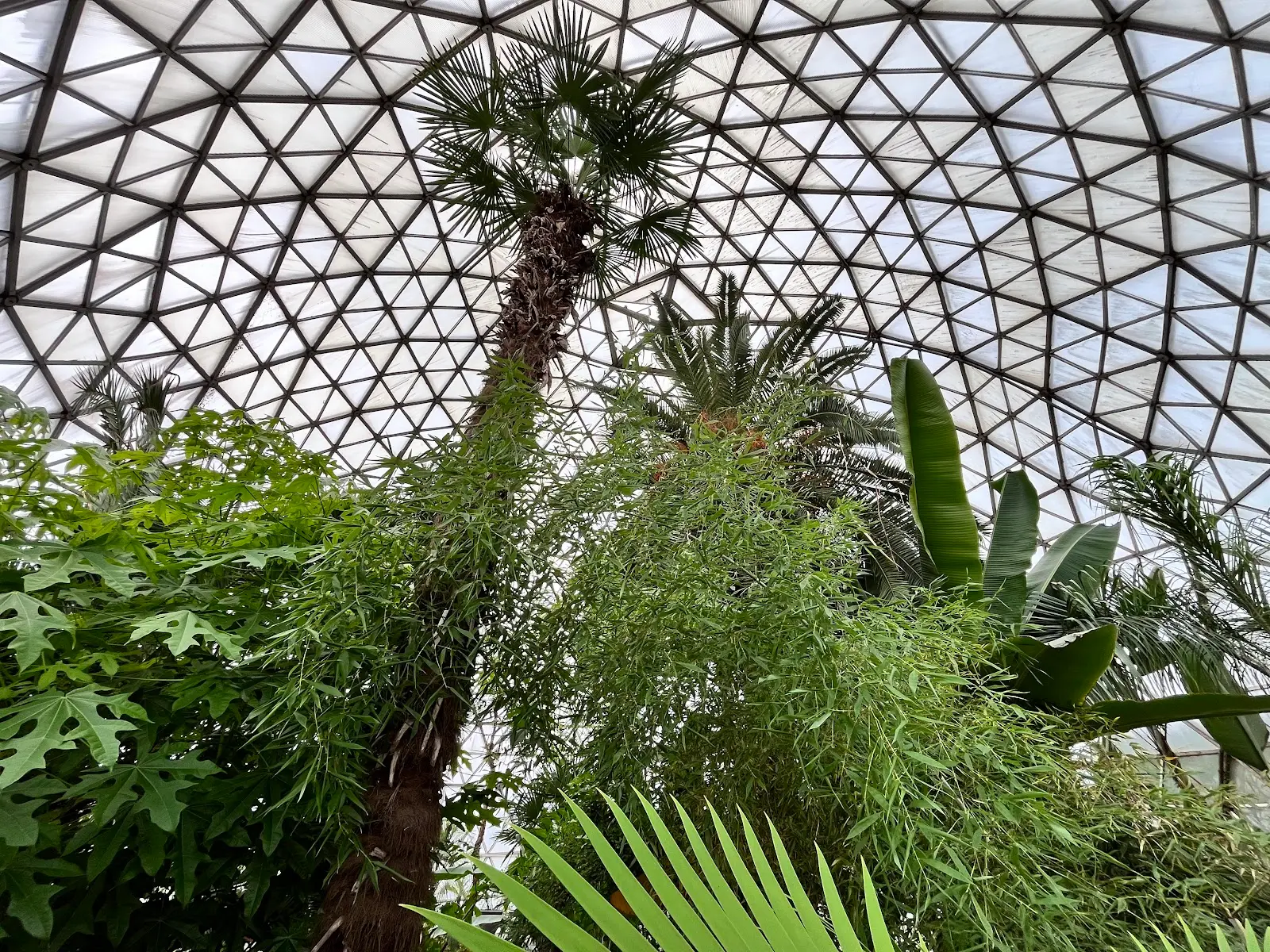 Grădina Botanică Zalău 2