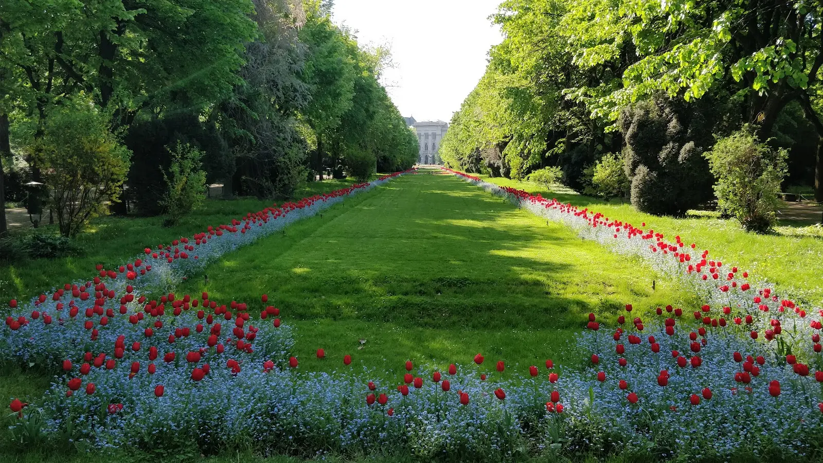 Grădina Cișmigiu 2