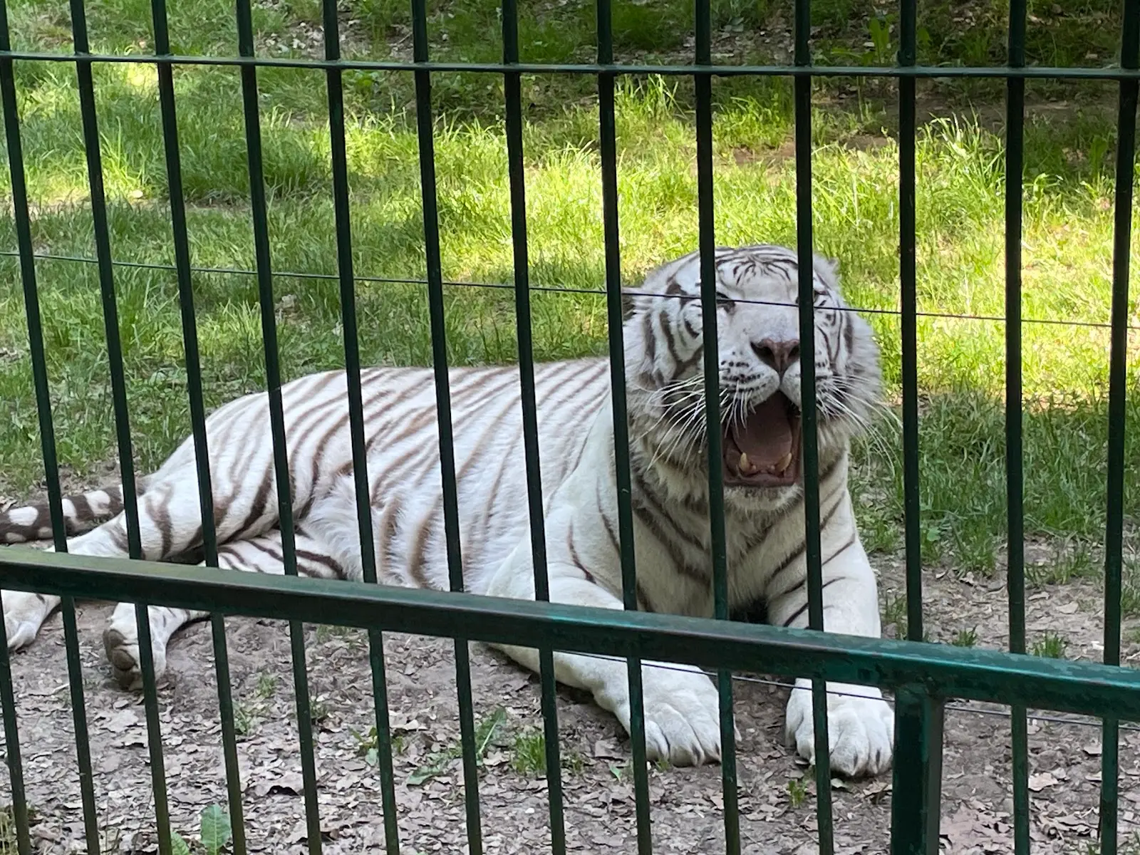 Grădina Zoologică Sibiu