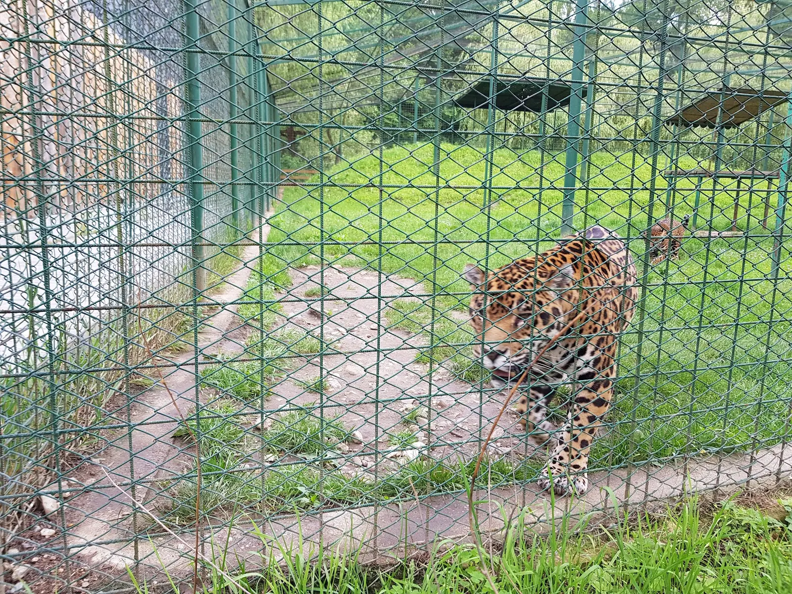 Grădina Zoologică Sibiu 2