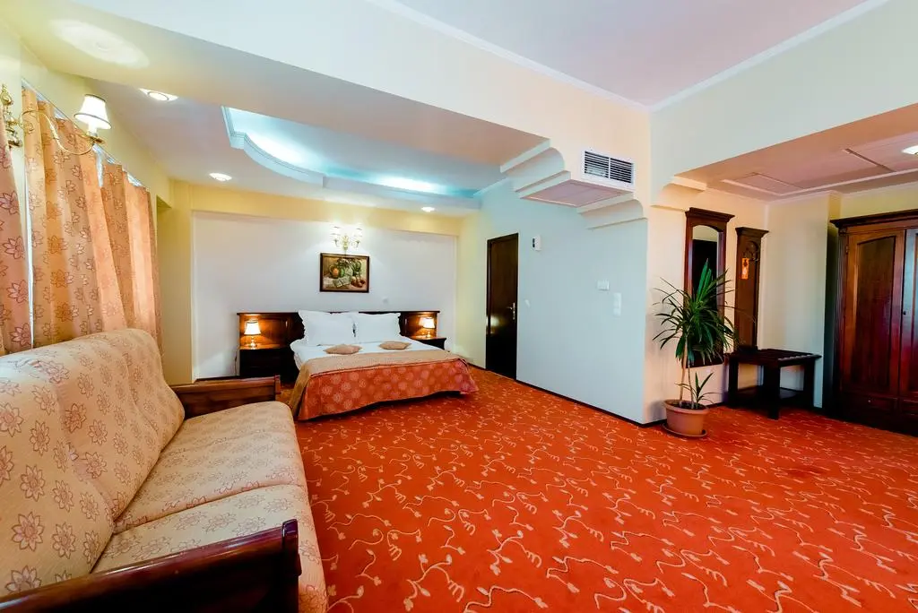 Hotel Mara Baia Mare 2