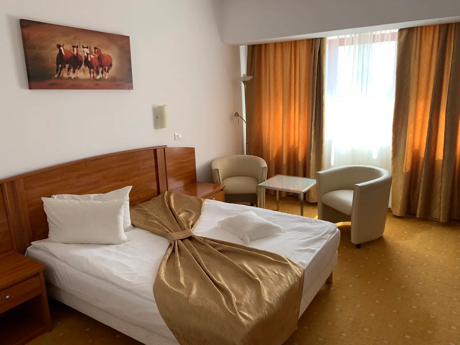Hotel Parc Alba Iulia 2