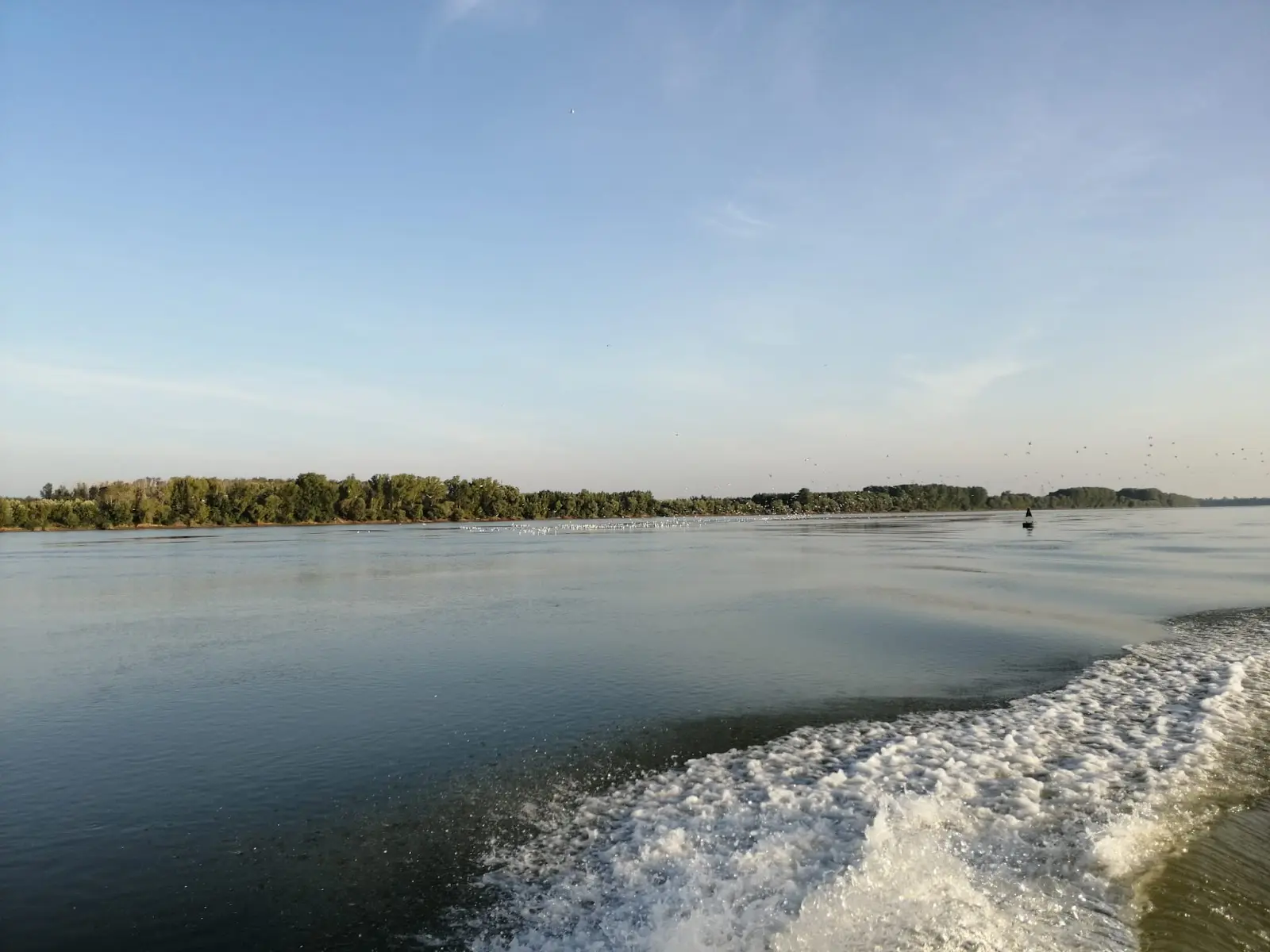 Insula Mică a Brăilei