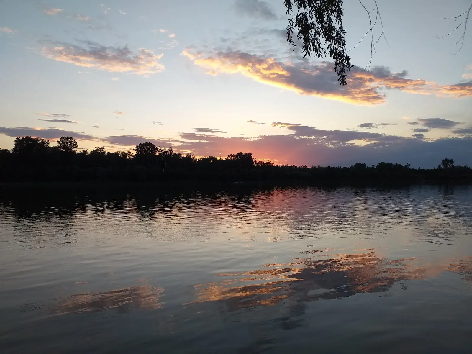 Insula Mică a Brăilei 2