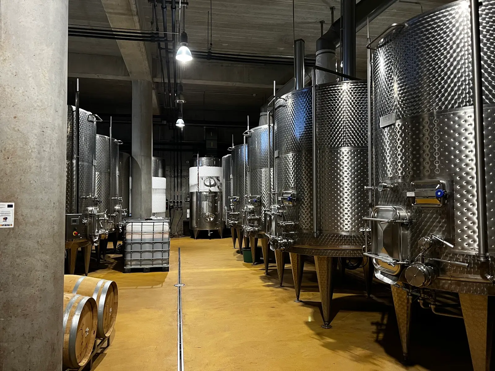 LacertA Winery 2