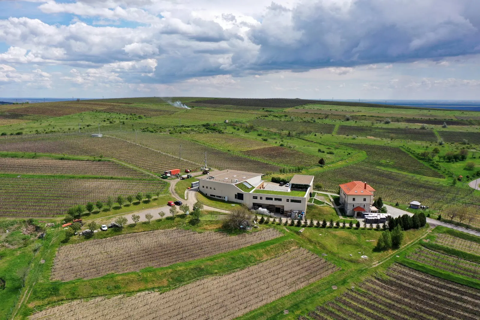 LacertA Winery 3