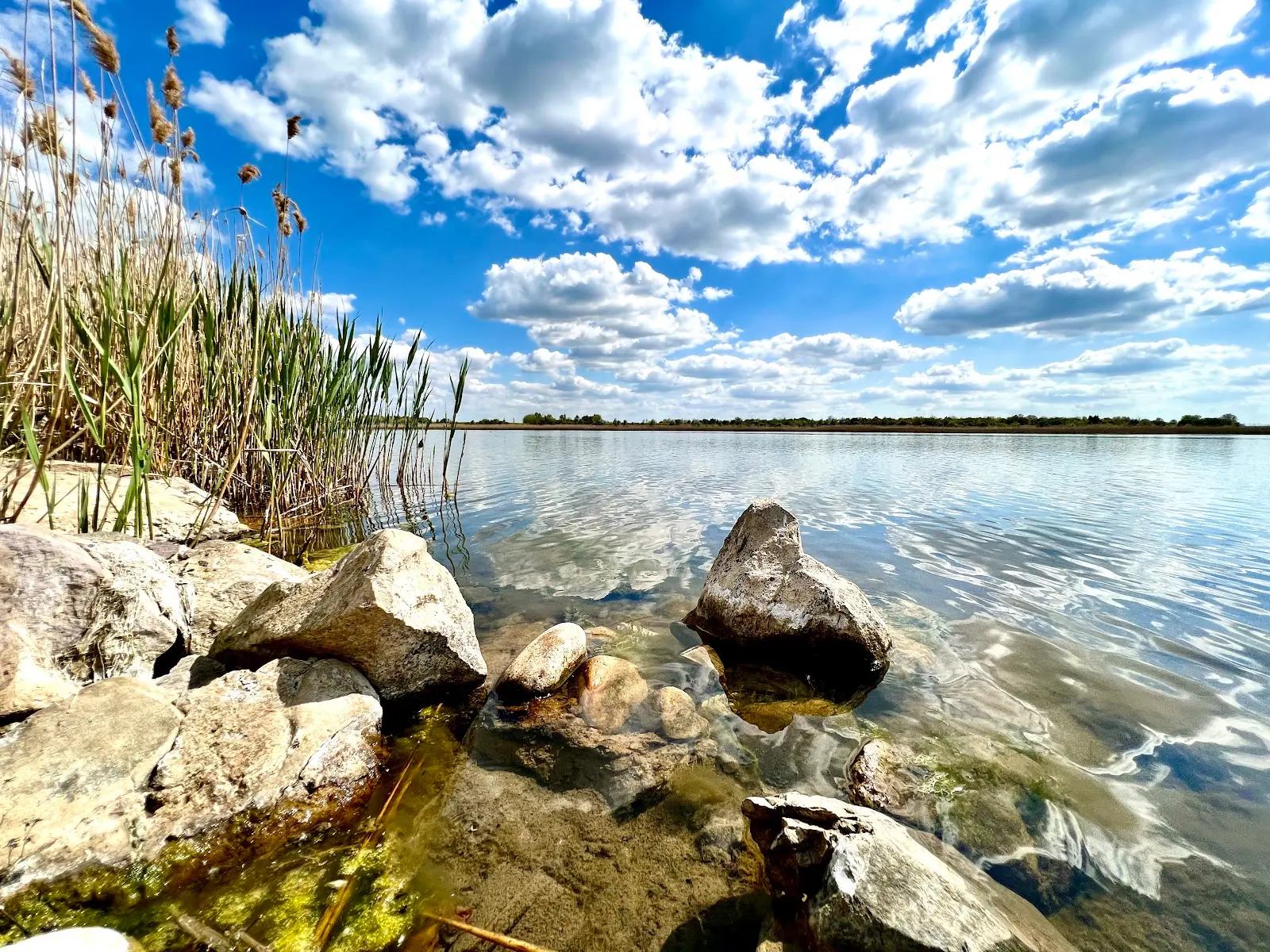 Lacul Amara
