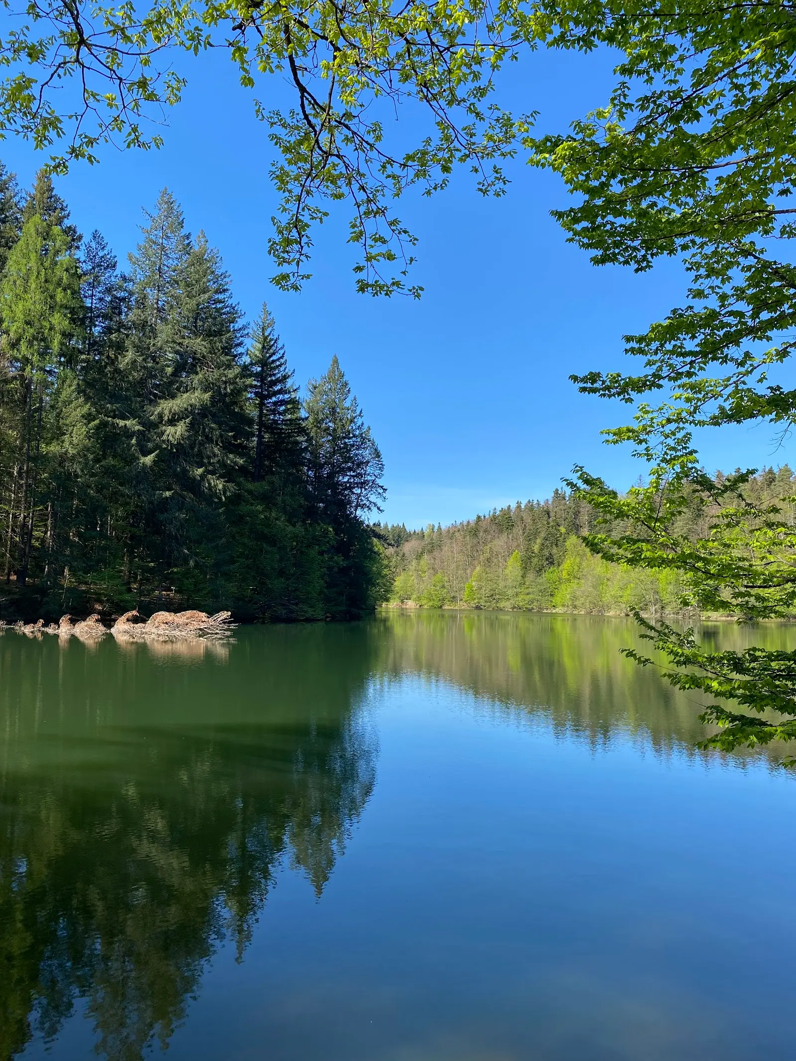 Lacul Buhui 3