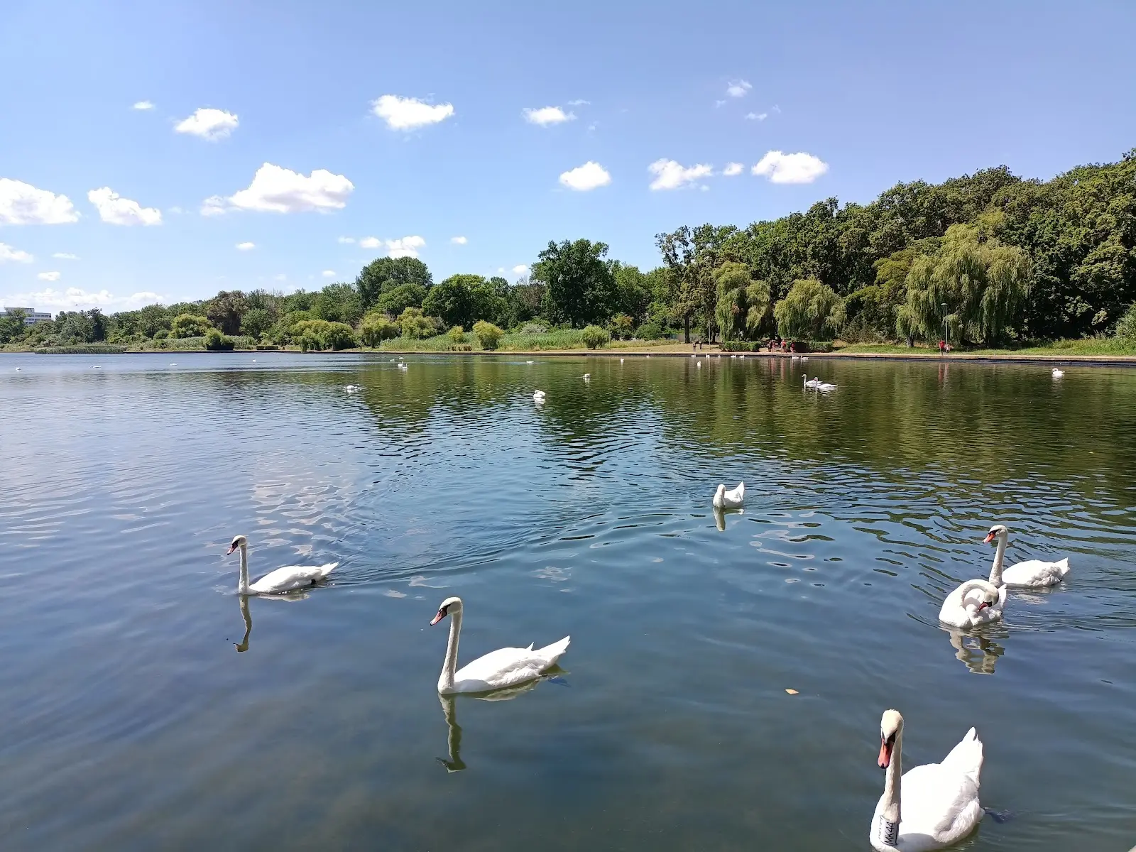 Lacul Neptun 3