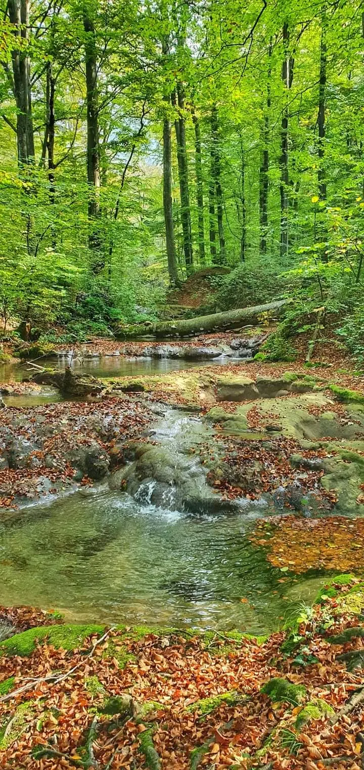 Lacul Ochiul Beiului 3