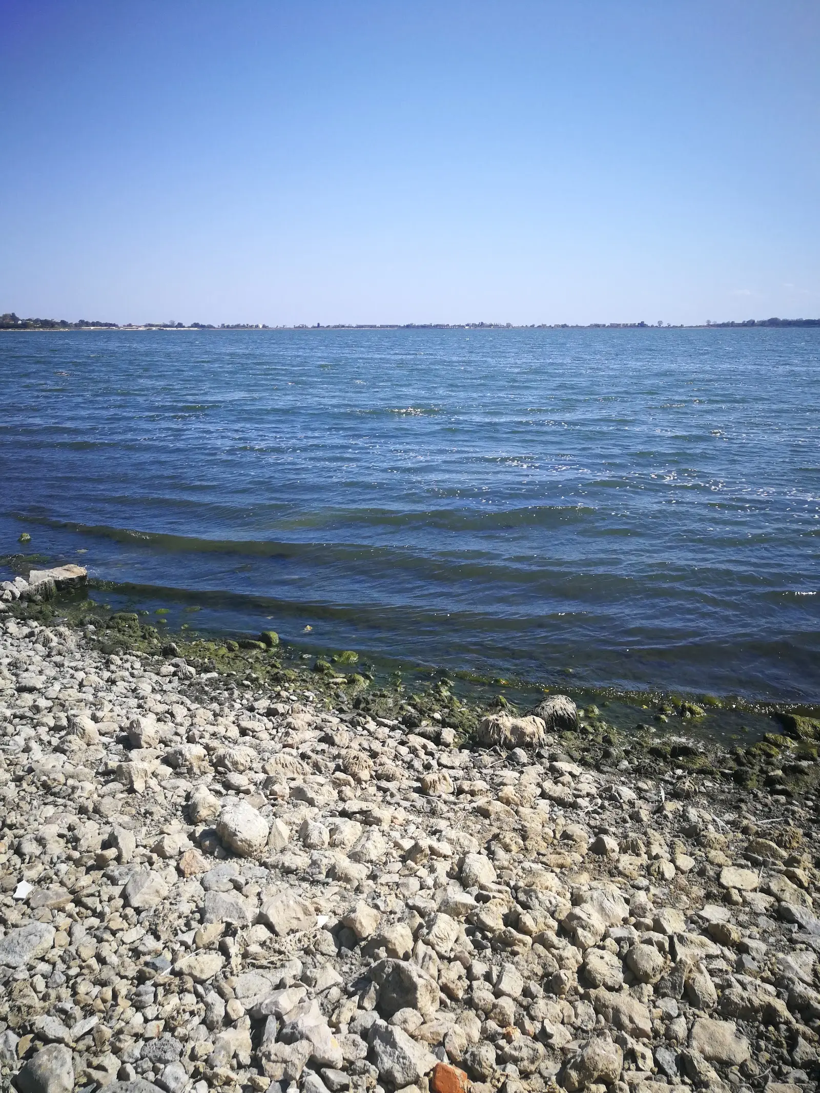 Lacul Techirghiol 3