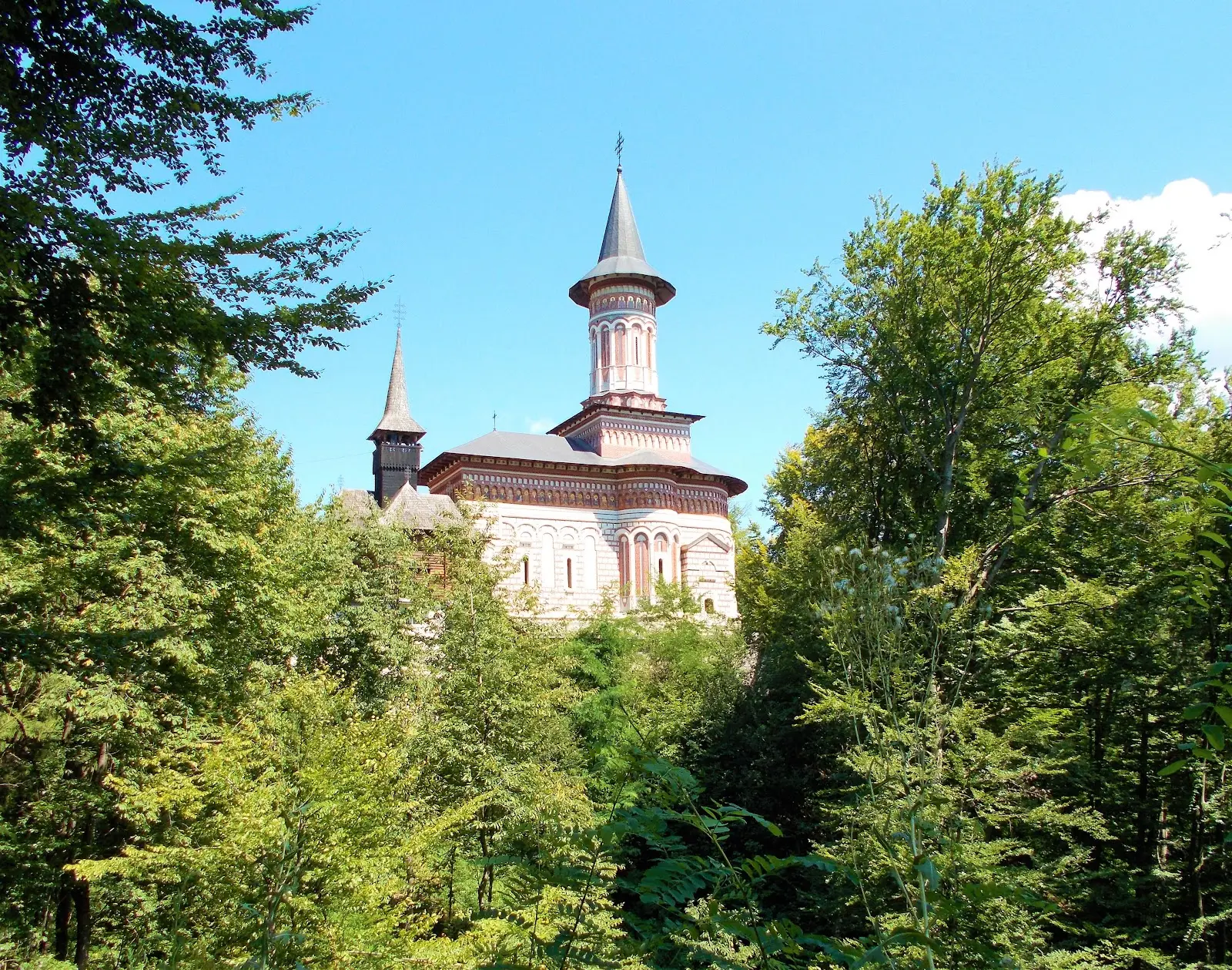 Mănăstirea Rohia 3