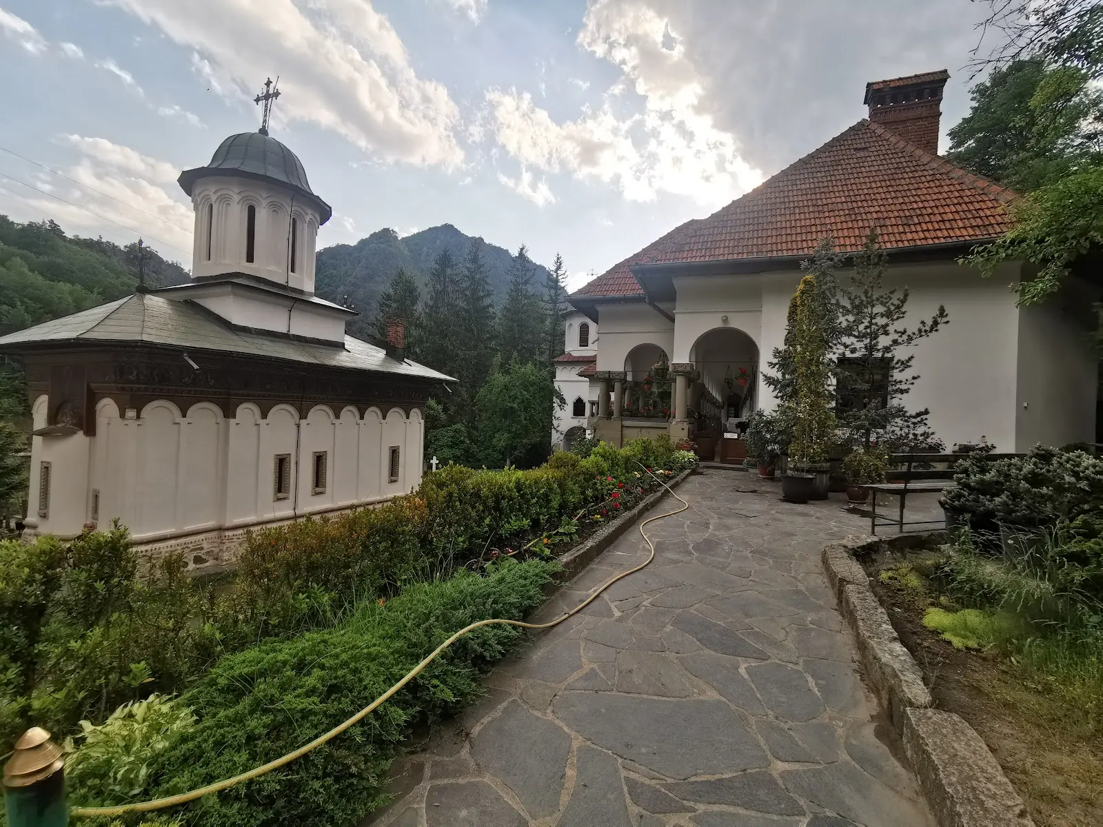 Mănăstirea Turnu 2