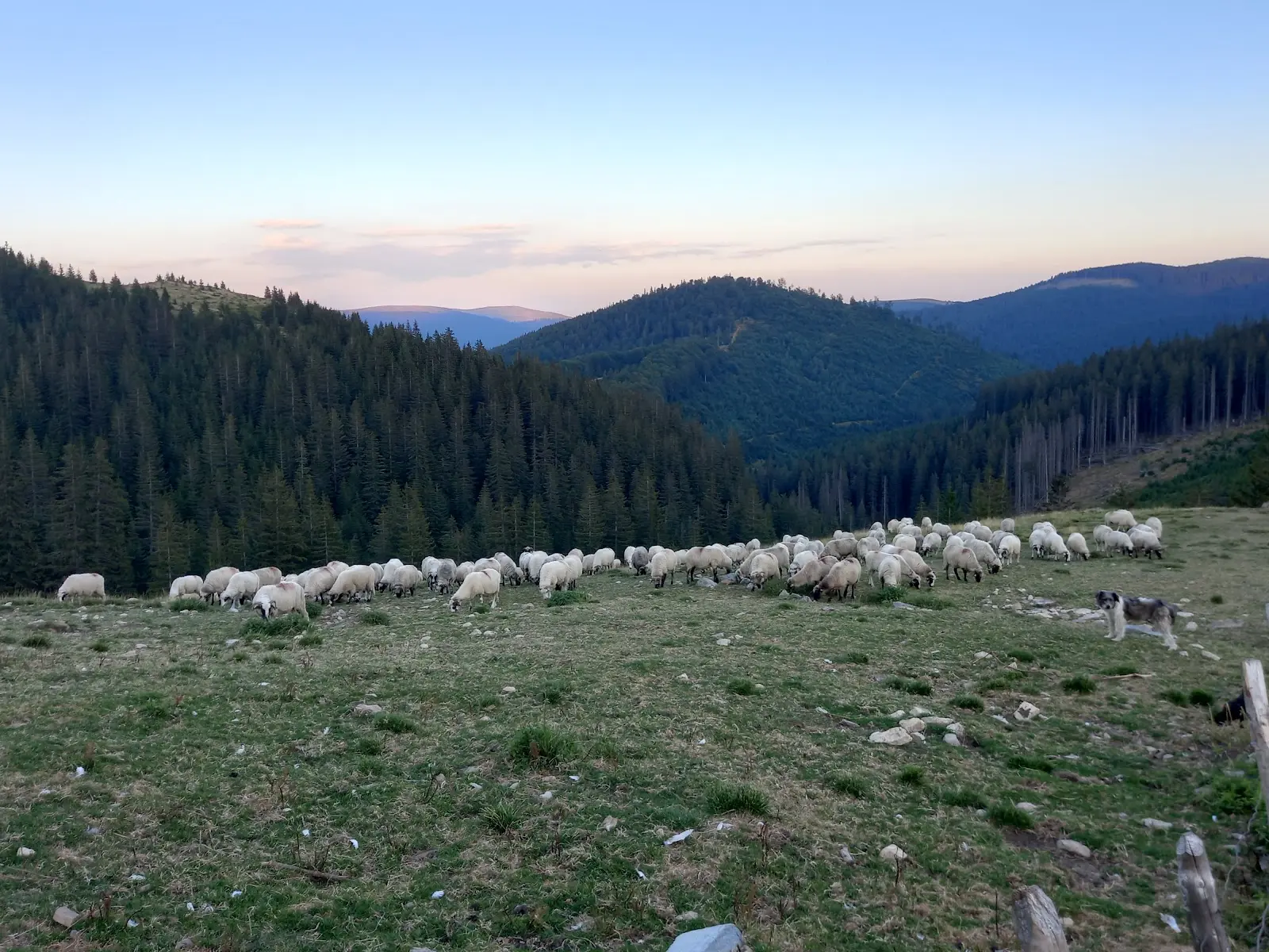 Masivul Parâng 3