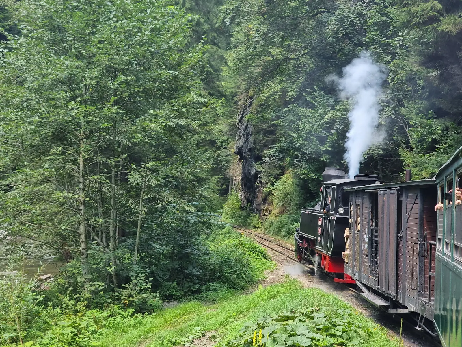 Mocănița CFF Vișeu (Vaser) 3