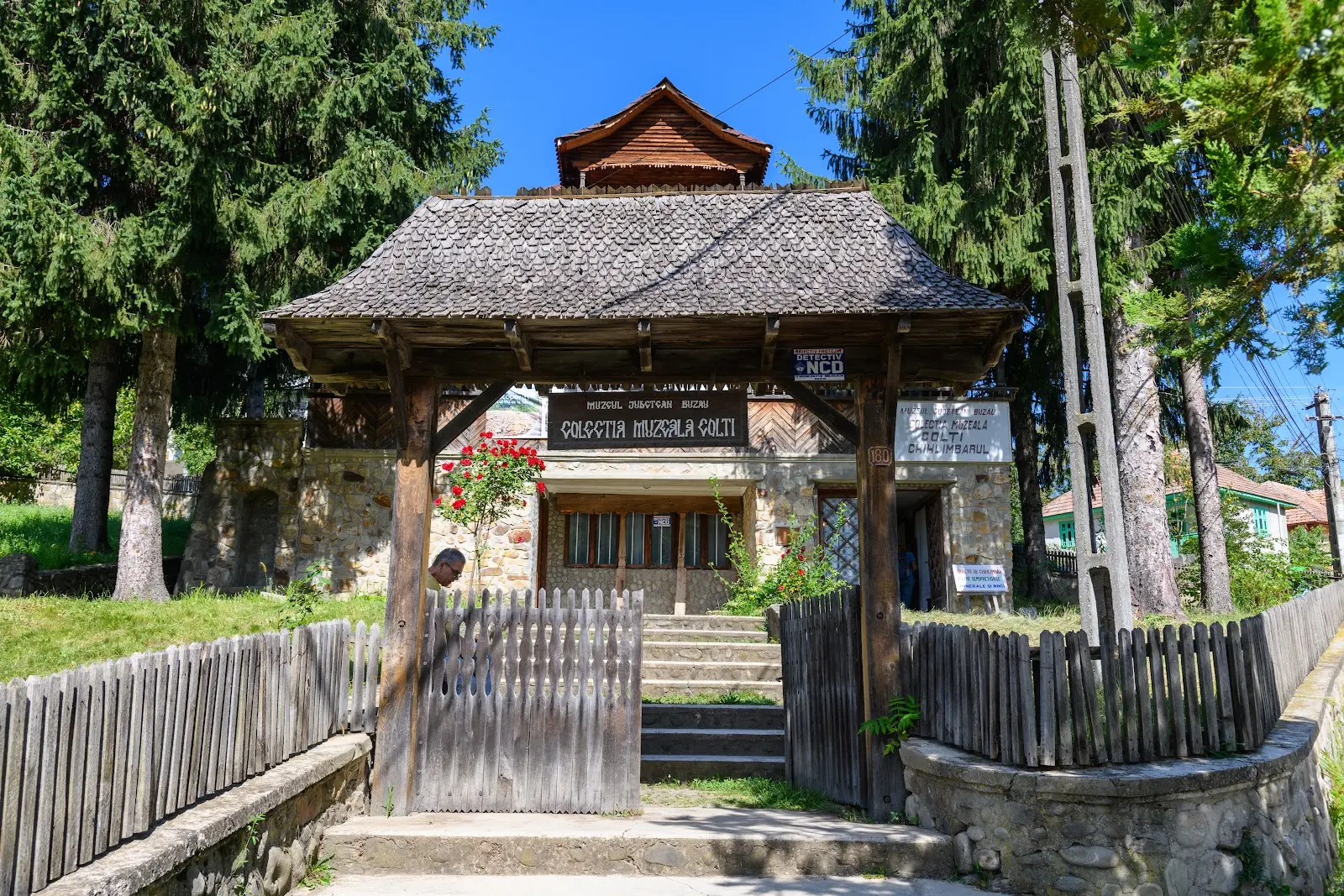 Muzeul Chihlimbarului Colți