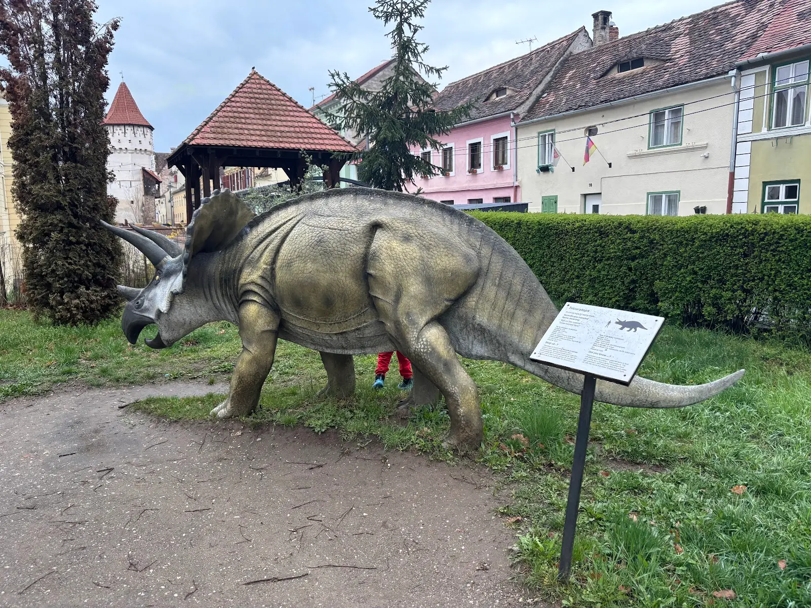 Muzeul de Istorie Naturală Sibiu 2