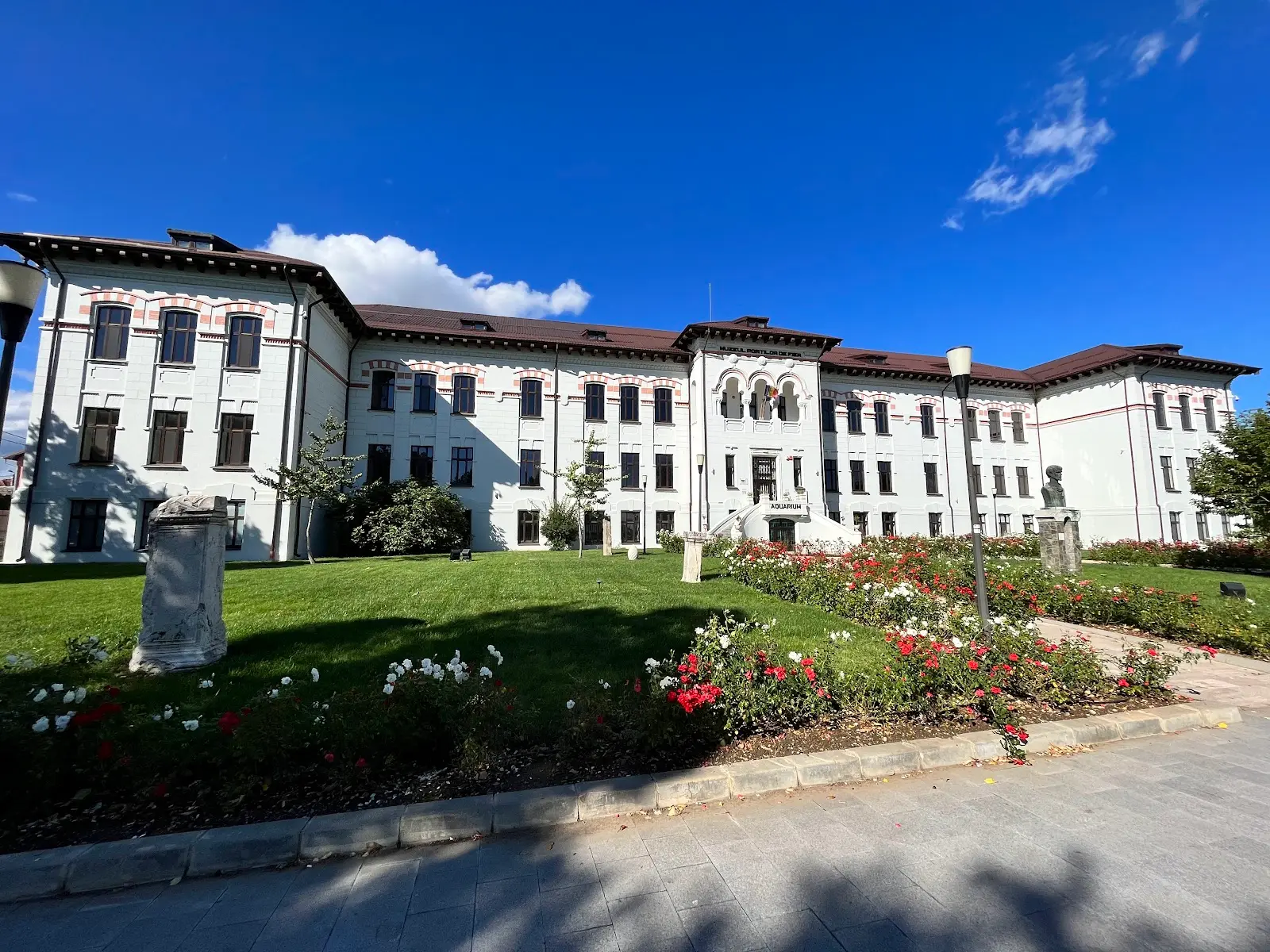 Muzeul Regiunii Porților de Fier